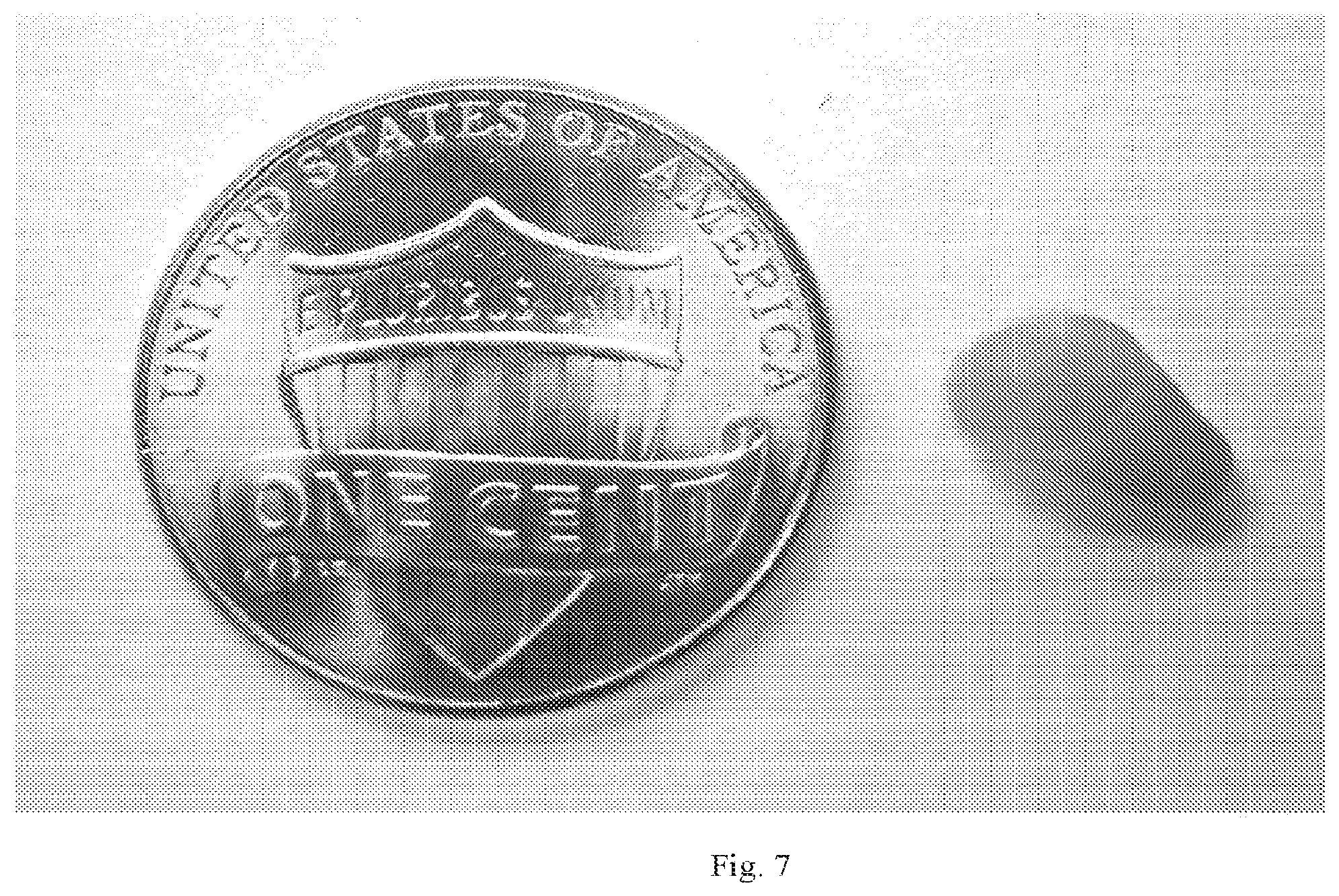 Patent US12302904 Figure 7 – RNAi insecticide materials and methods