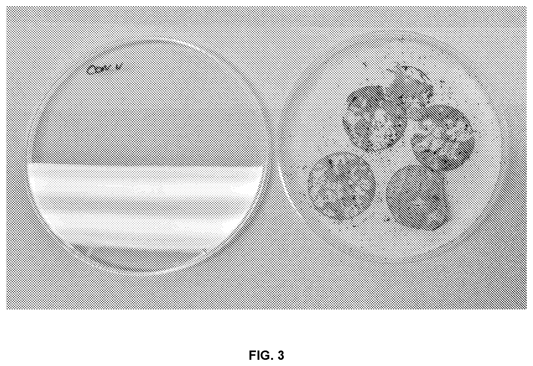 Patent US12302908 Figure 3 – Insect neuropeptides 4