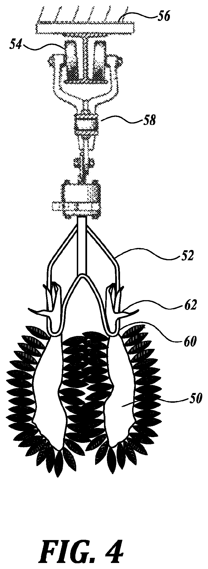 Patent US12302914 Figure 4 – Removing feathers from poultry carcasses