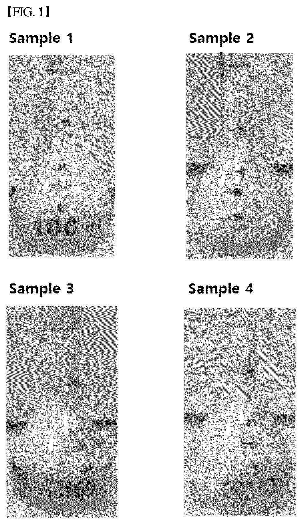 Patent US12302917 Figure 1 – Emulsified composition containing allulose