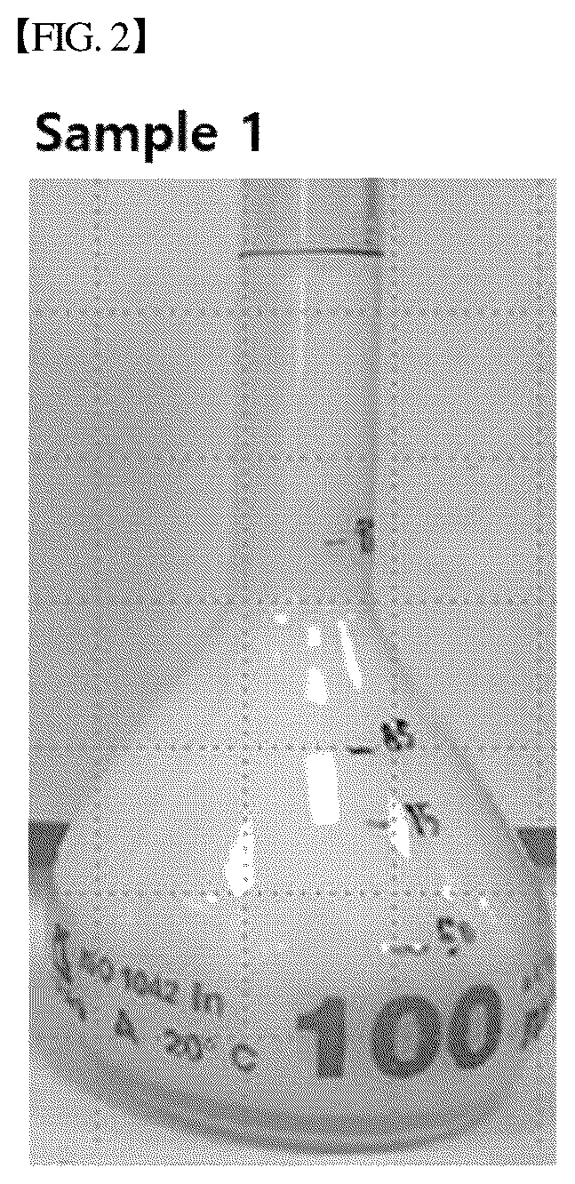 Patent US12302917 Figure 2 – Emulsified composition containing allulose