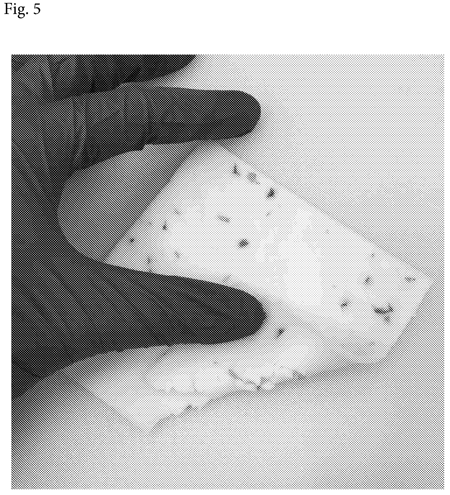 Patent US12302918 Figure 5 – Method for making cheese from ultra-filtered milk