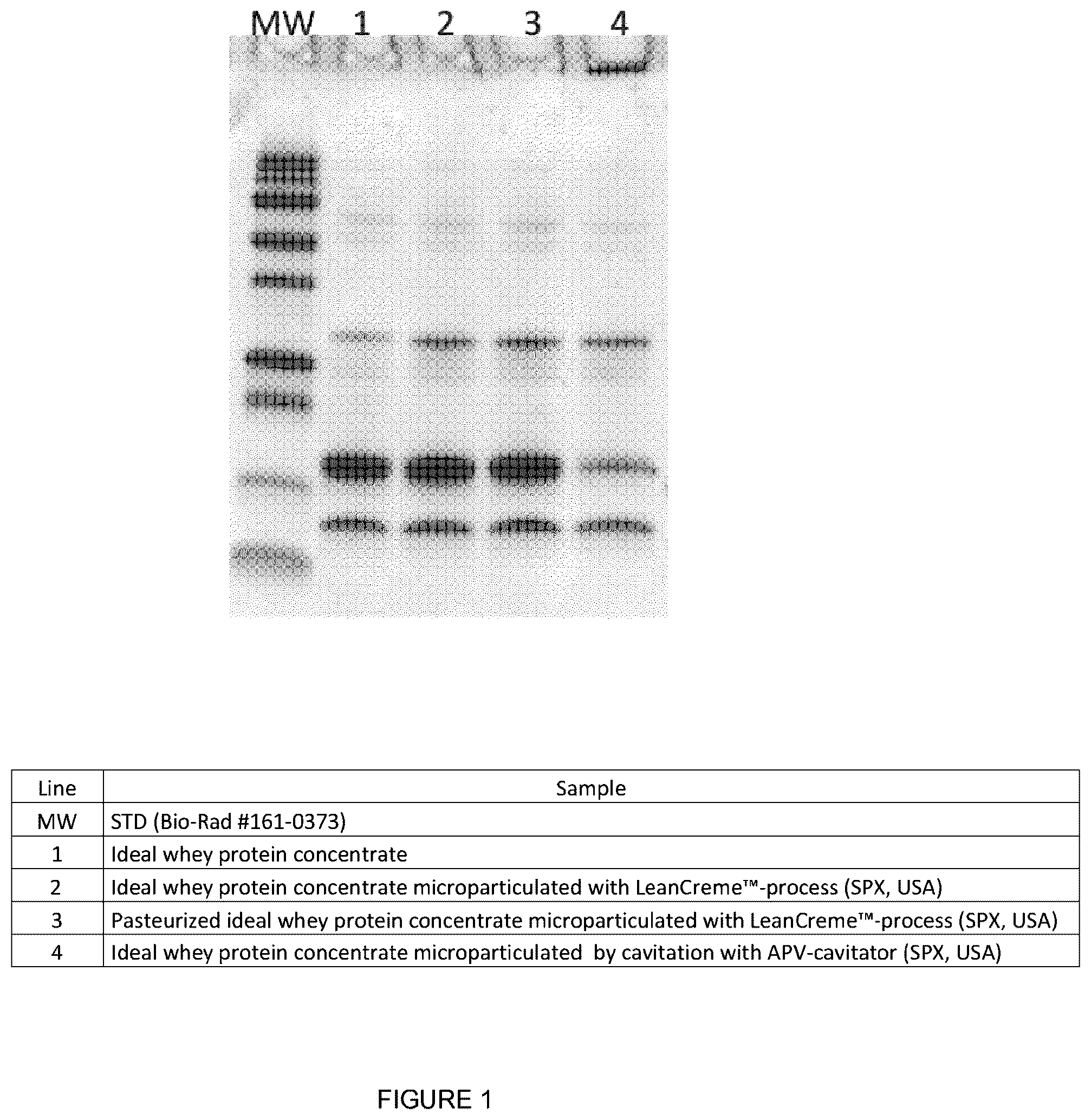 Patent US12302919 Figure 1 – Whey preparation obtained by cavitation and uses thereof