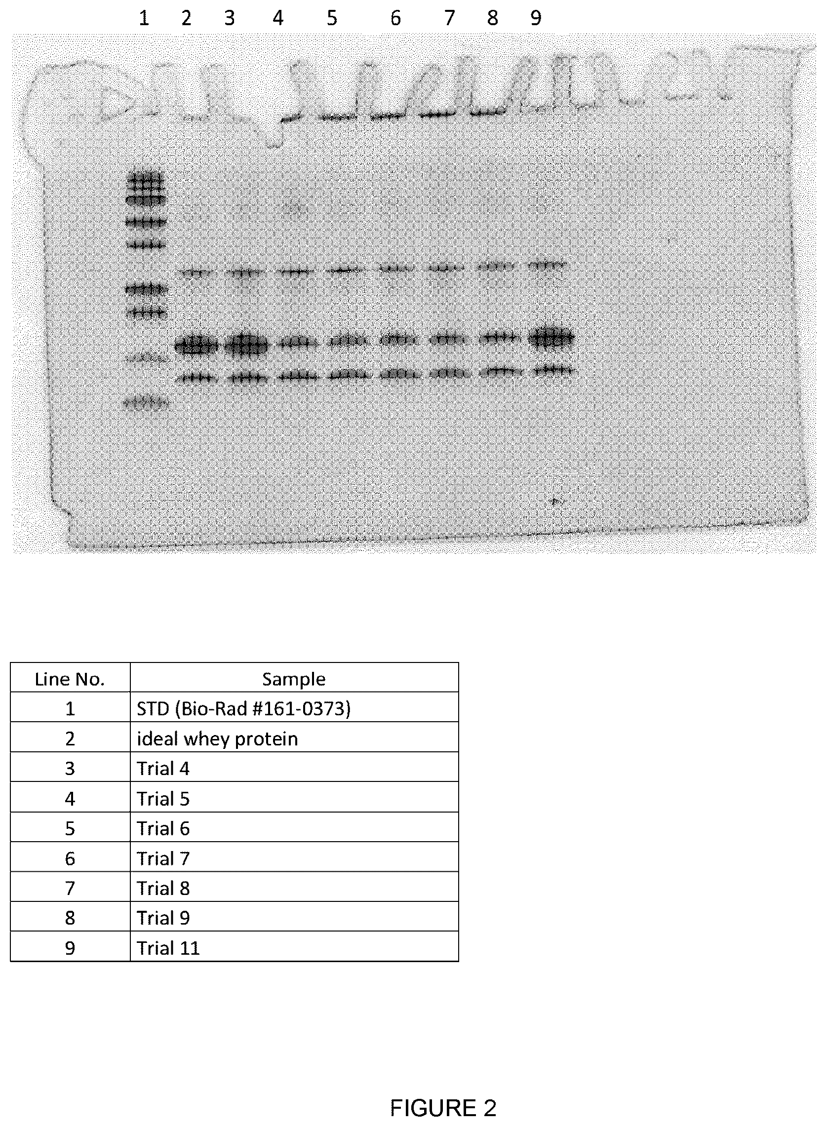 Patent US12302919 Figure 2 – Whey preparation obtained by cavitation and uses thereof