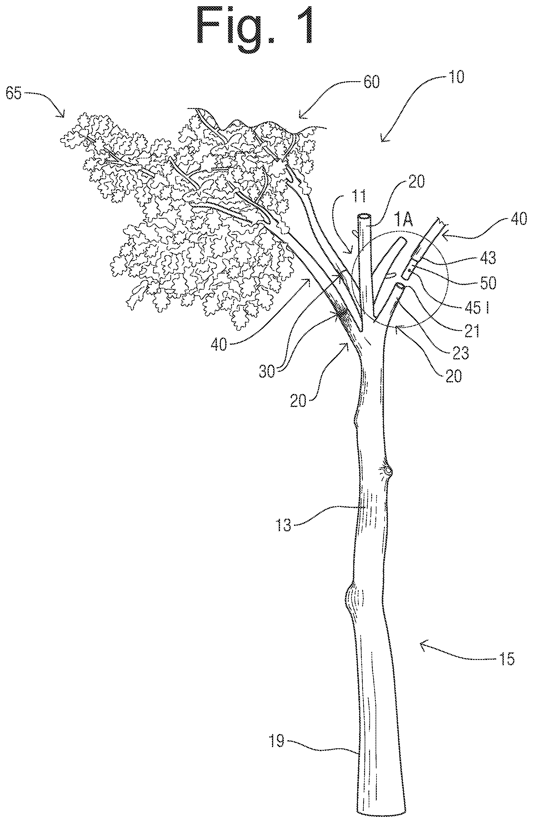 Patent US12302970 Figure 1 – Decorative tree with insertable, interchangeable branches system and method