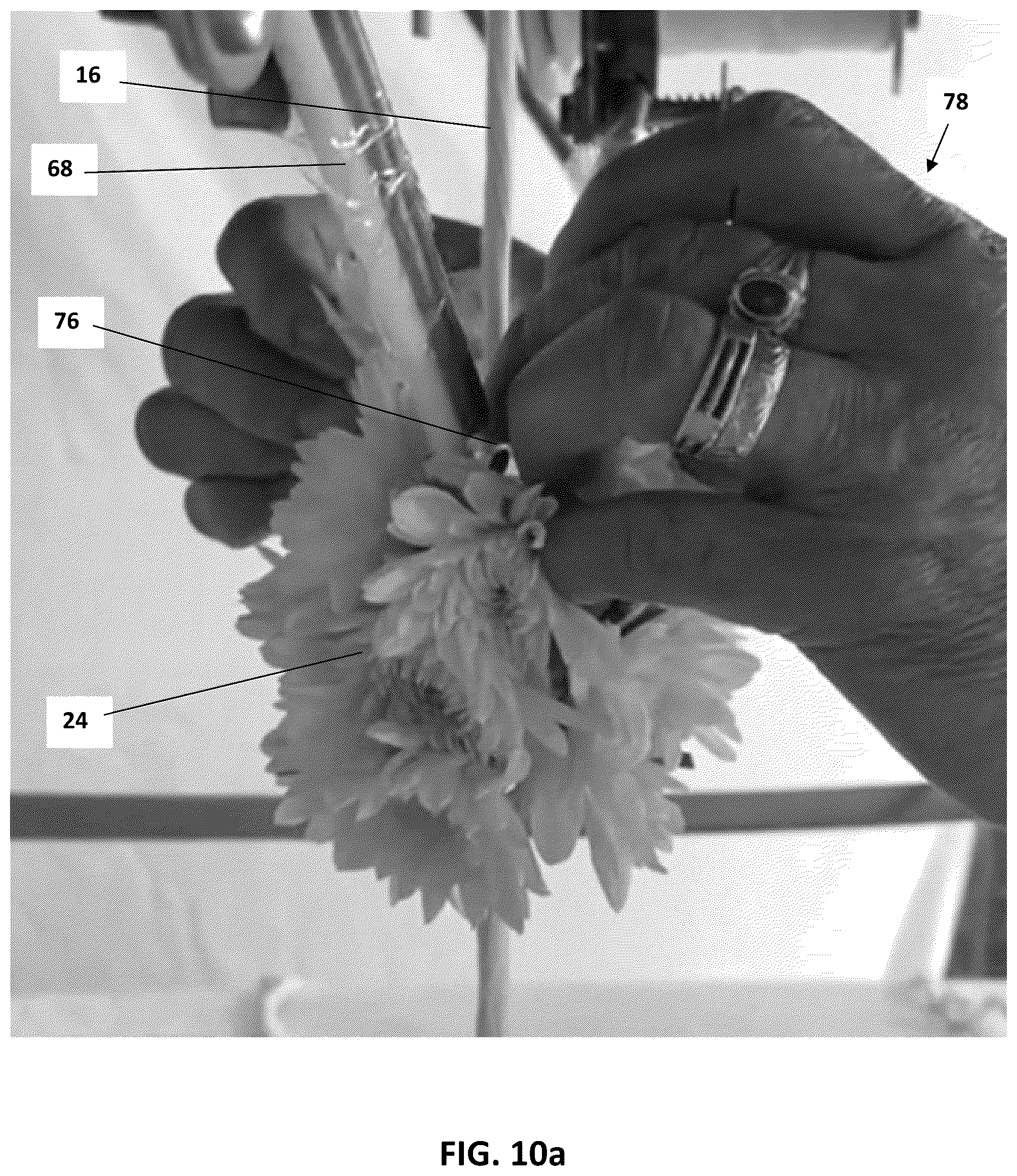 Patent US12302971 Figure 11 – System and method for forming a garland