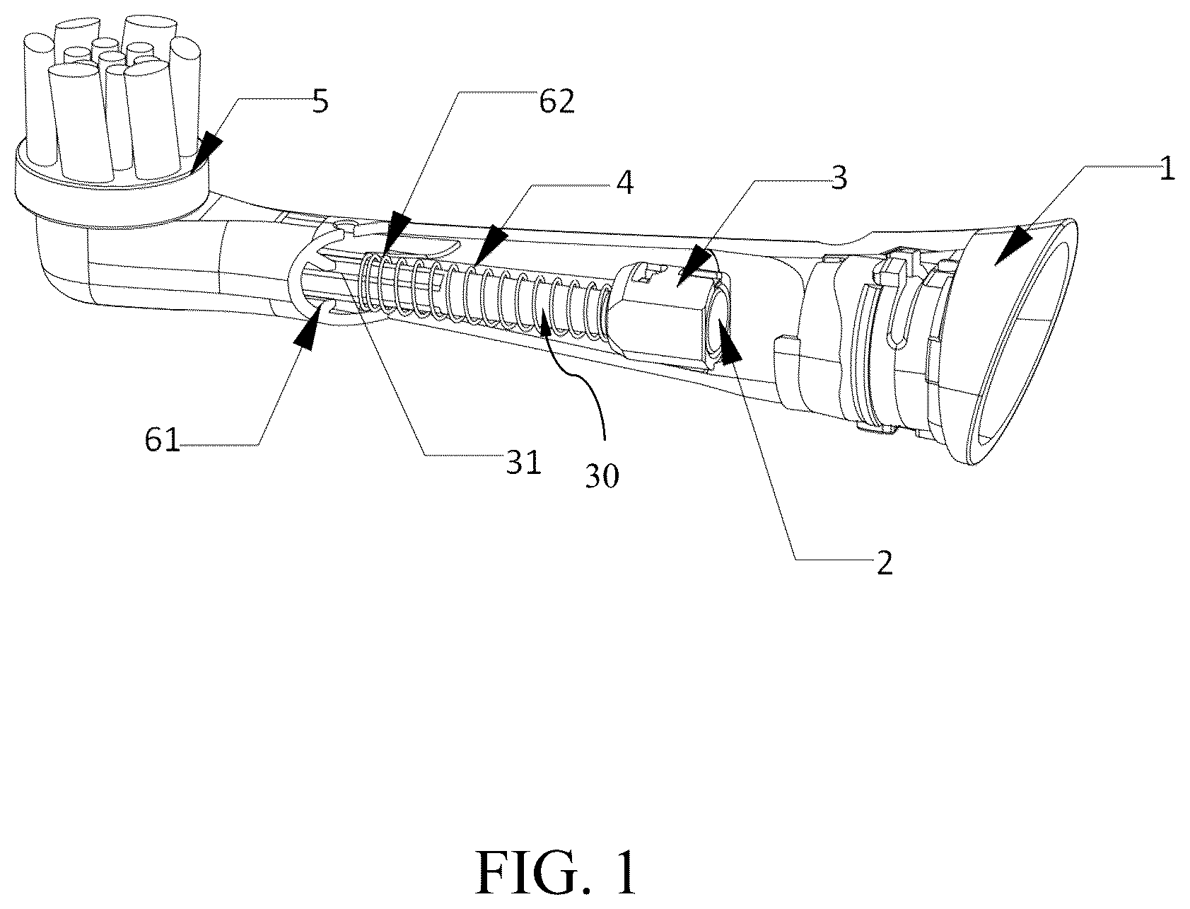 Patent US12303019 — Replacement brush head and oral hygiene device — Figure 1
