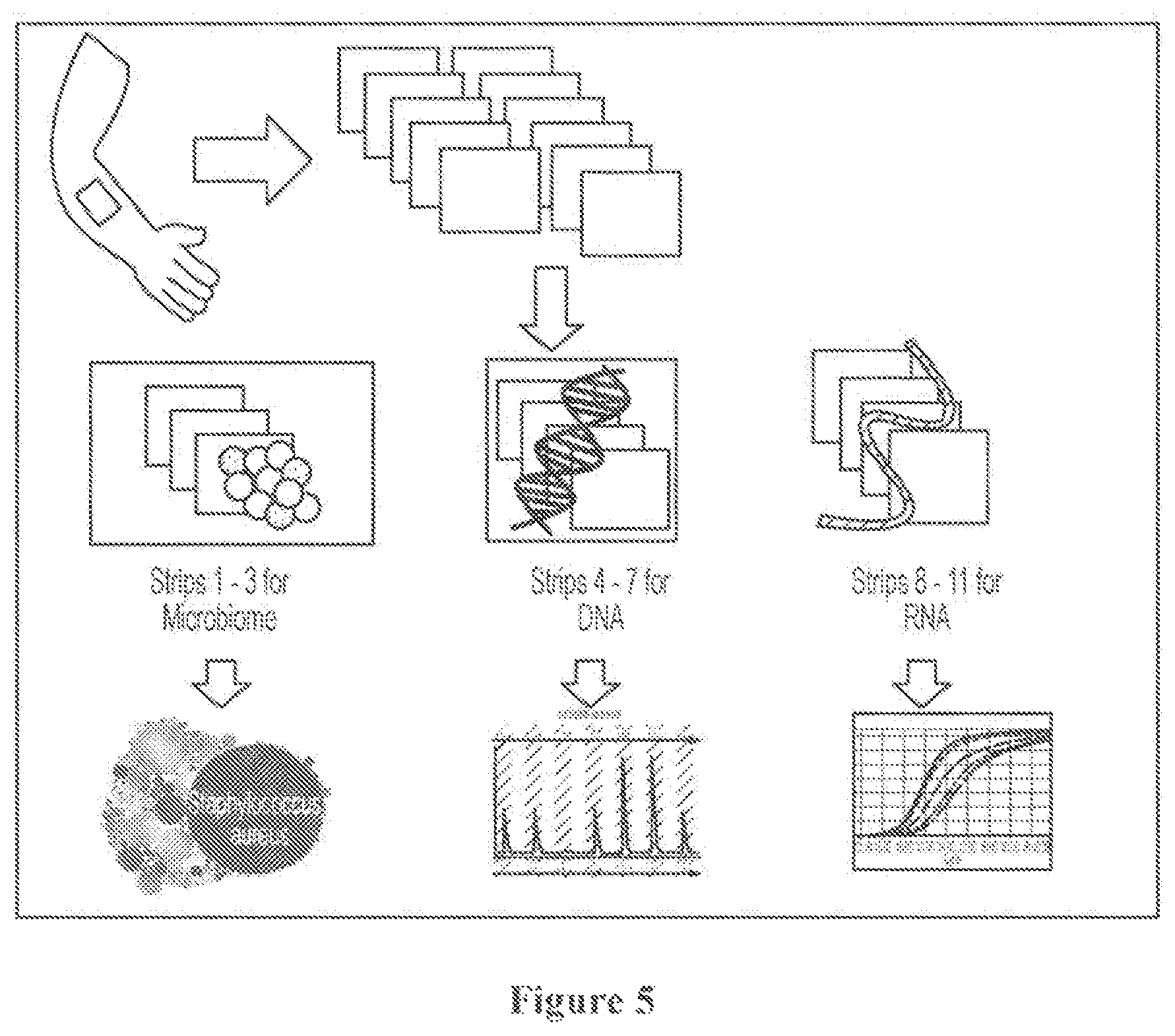 Patent US12303113 Figure 5 – 