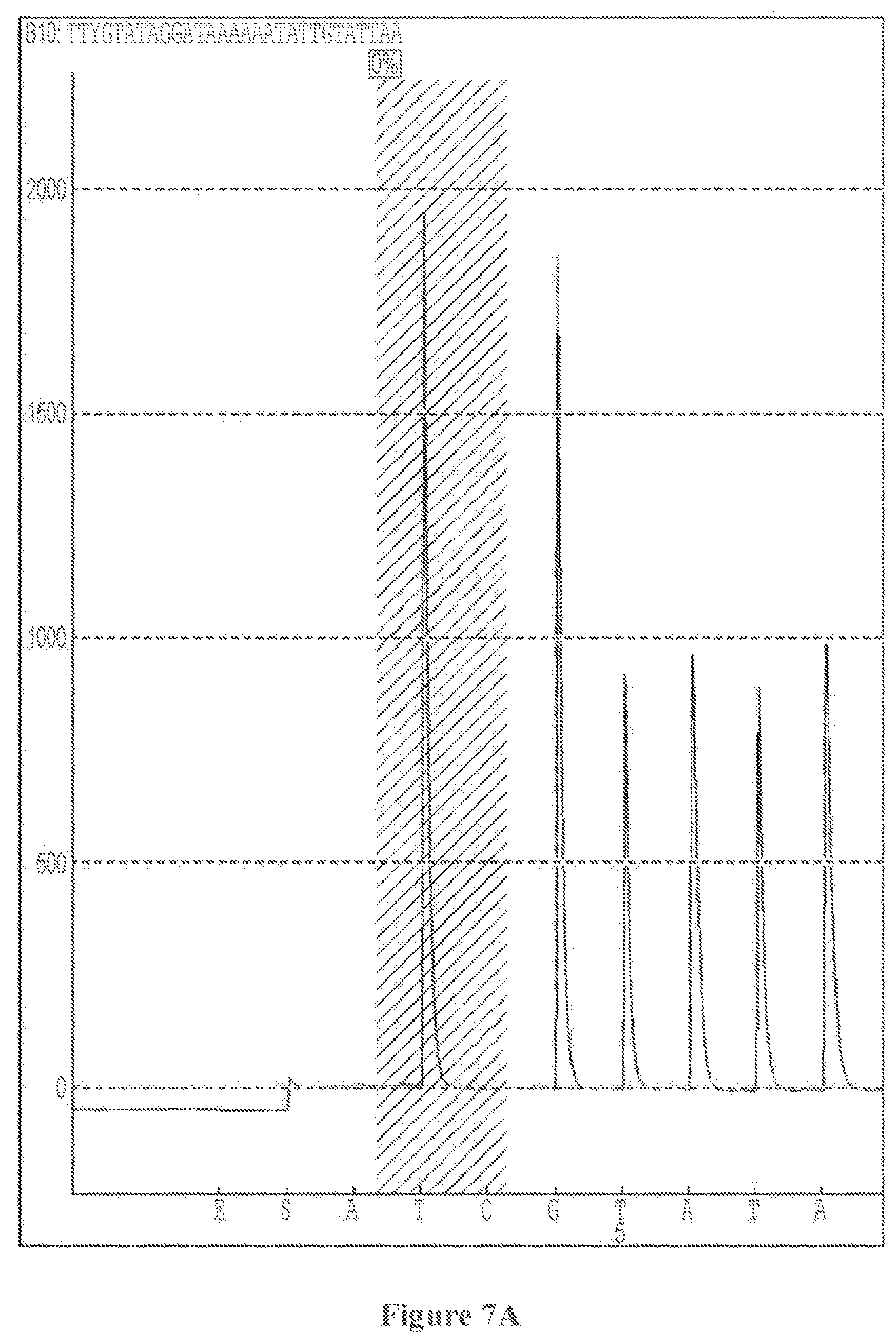 Patent US12303113 Figure 7 – 