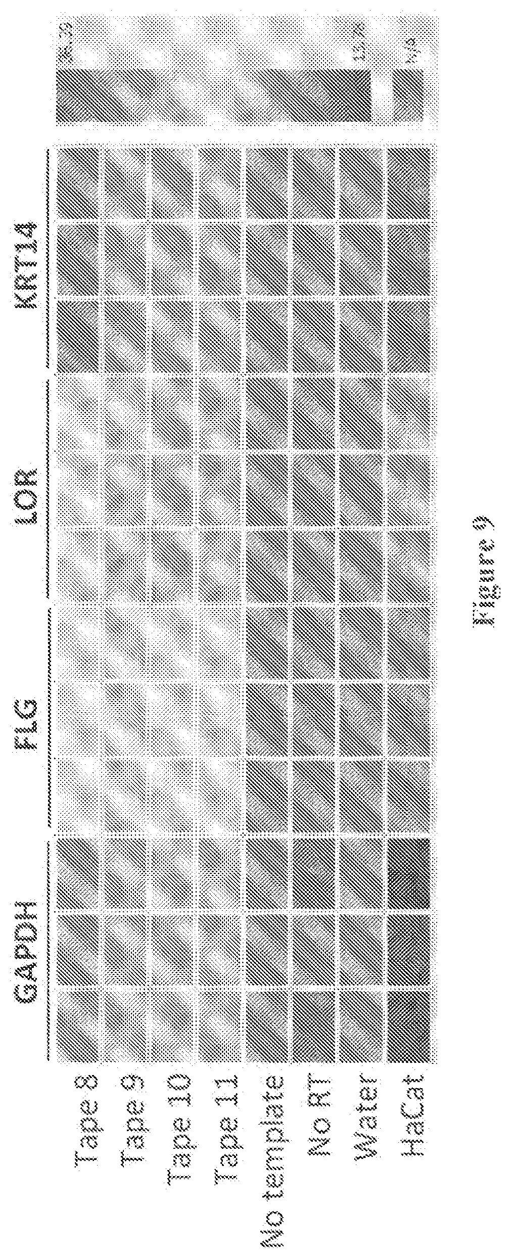 Patent US12303113 Figure 10 – 