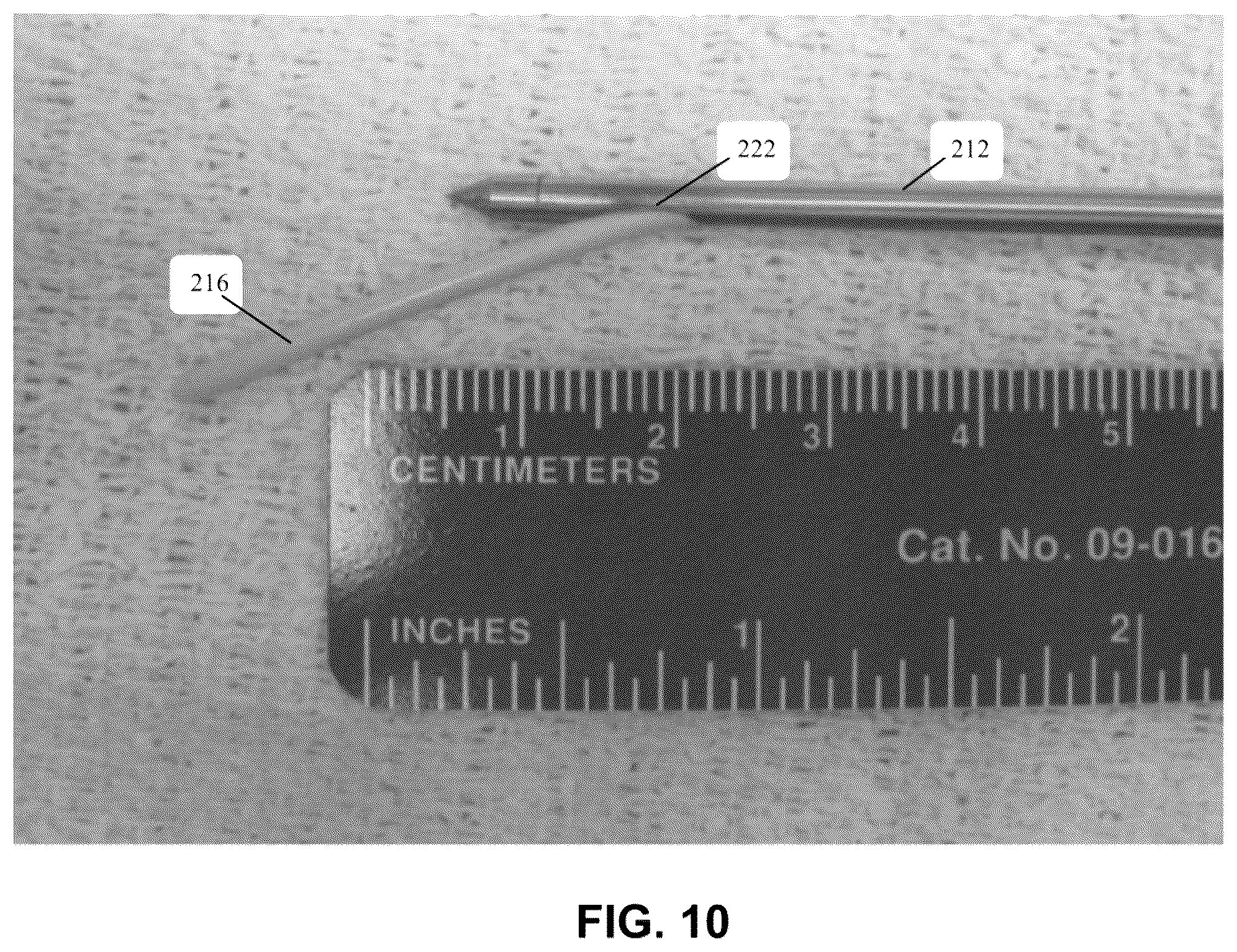 Patent US12303166 Figure 12 – Methods for accessing nerves within bone
