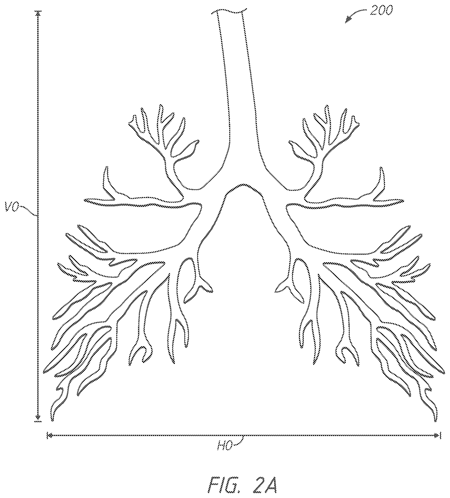Patent US12303209 Figure 2 – Systems for evaluating registerability of anatomic models and associated methods