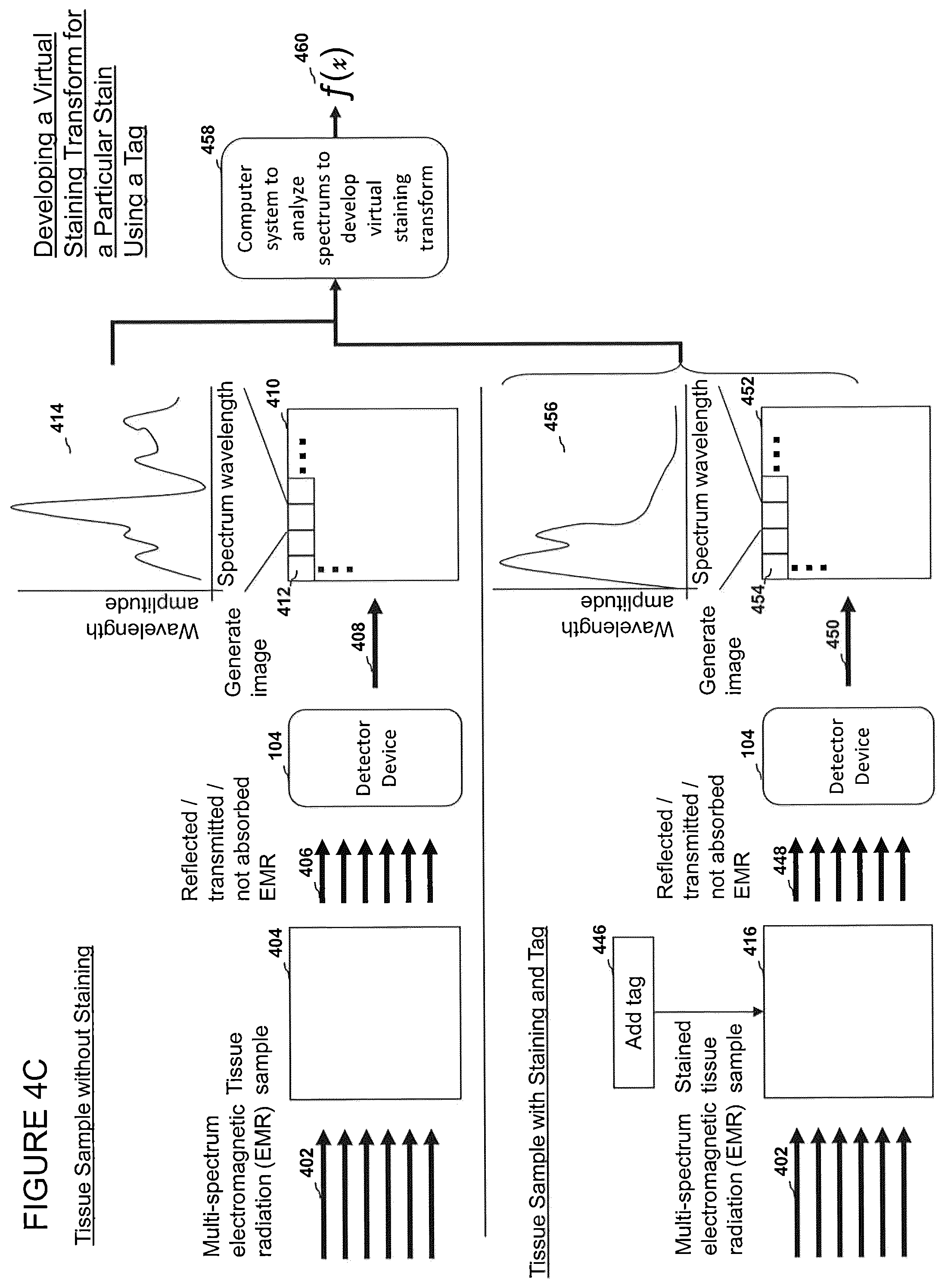 Patent US12303233 Figure 8 – Devices, systems, and methods for virtual staining