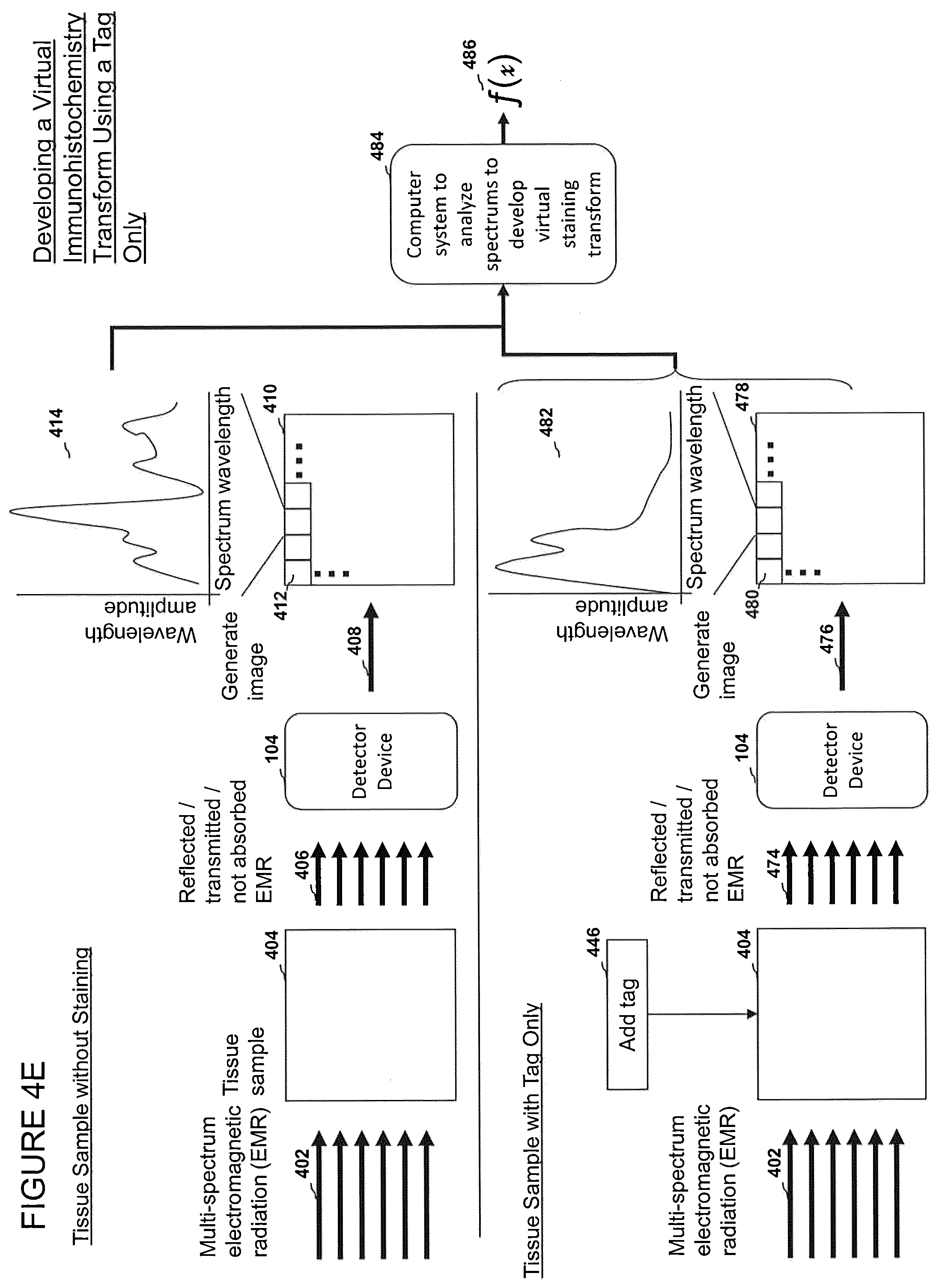 Patent US12303233 Figure 10 – Devices, systems, and methods for virtual staining