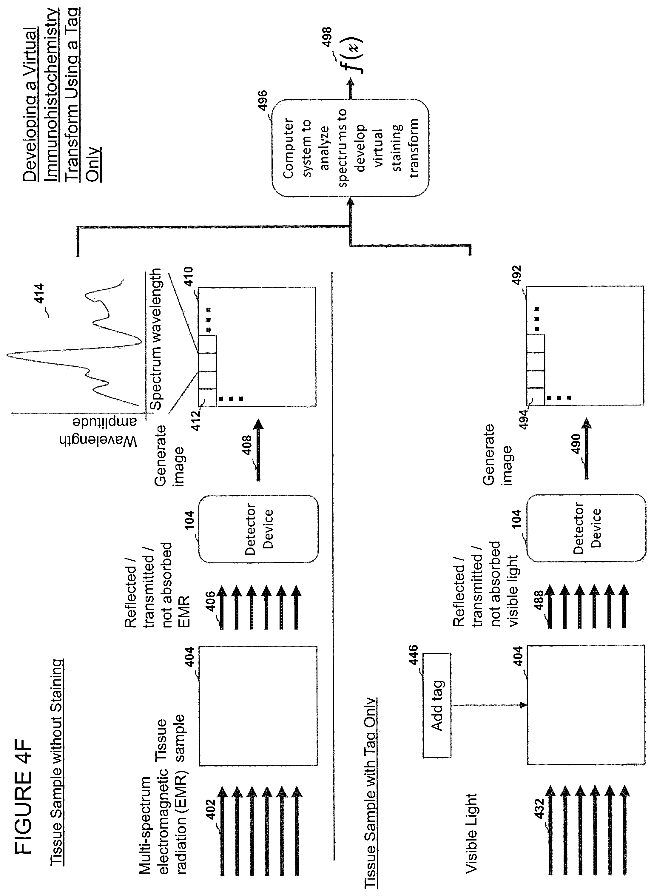 Patent US12303233 Figure 11 – Devices, systems, and methods for virtual staining