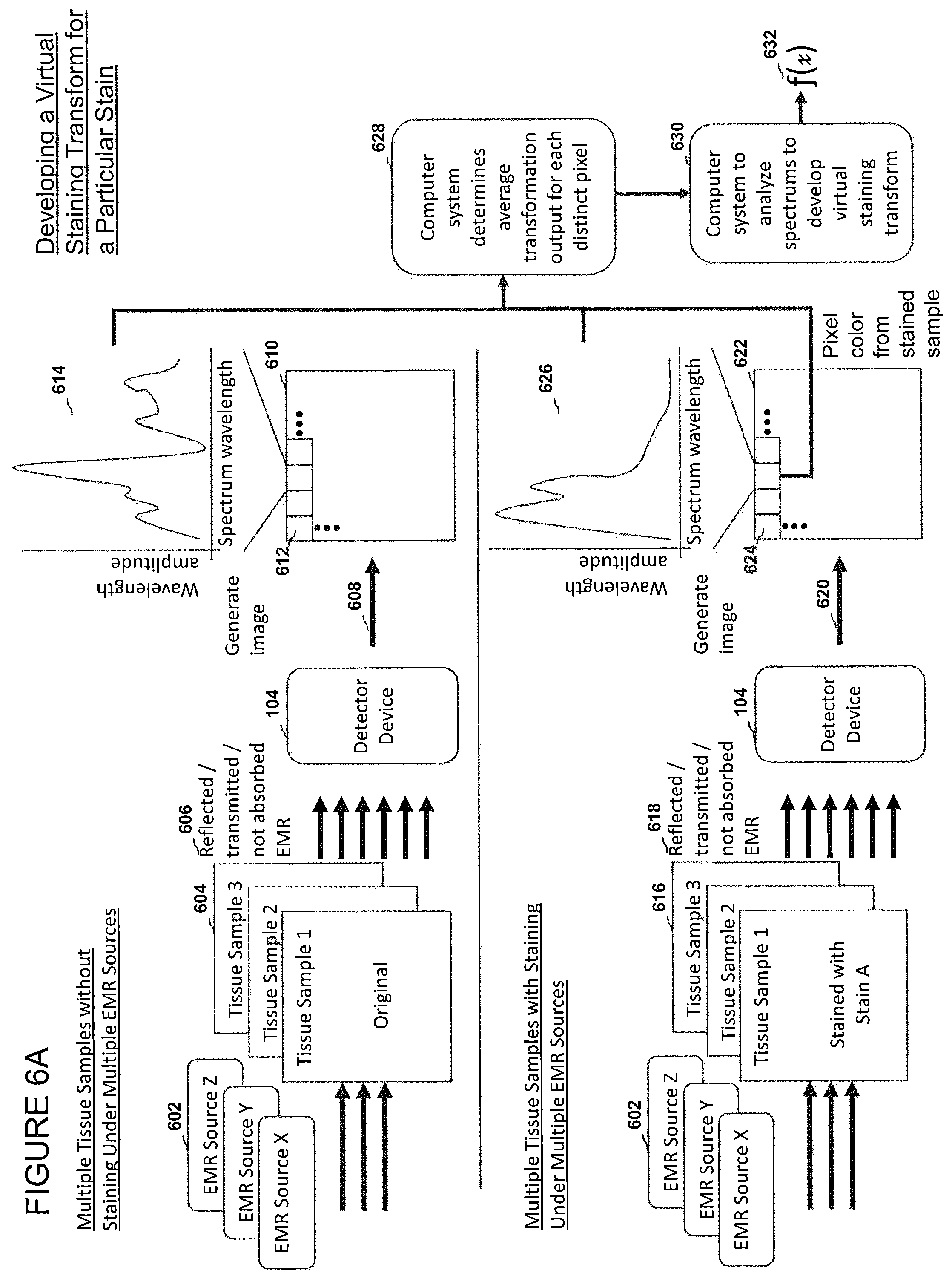 Patent US12303233 Figure 17 – Devices, systems, and methods for virtual staining