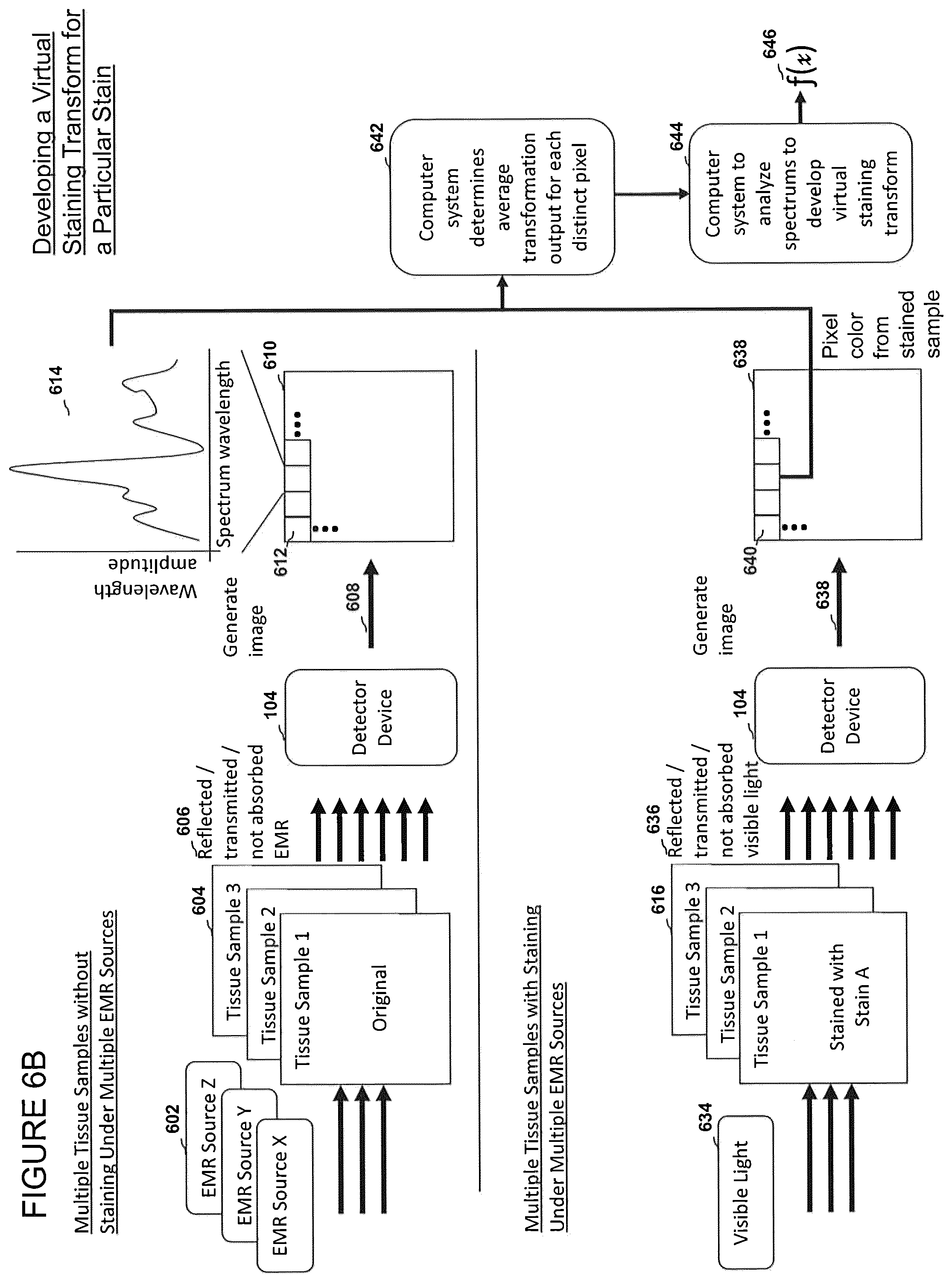 Patent US12303233 Figure 18 – Devices, systems, and methods for virtual staining