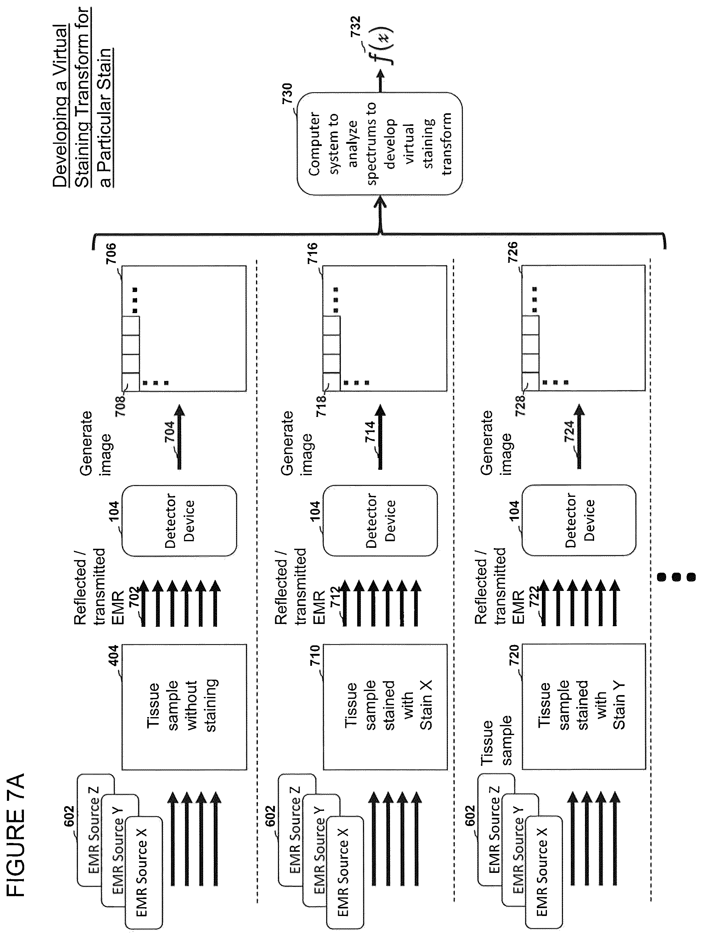 Patent US12303233 Figure 19 – Devices, systems, and methods for virtual staining