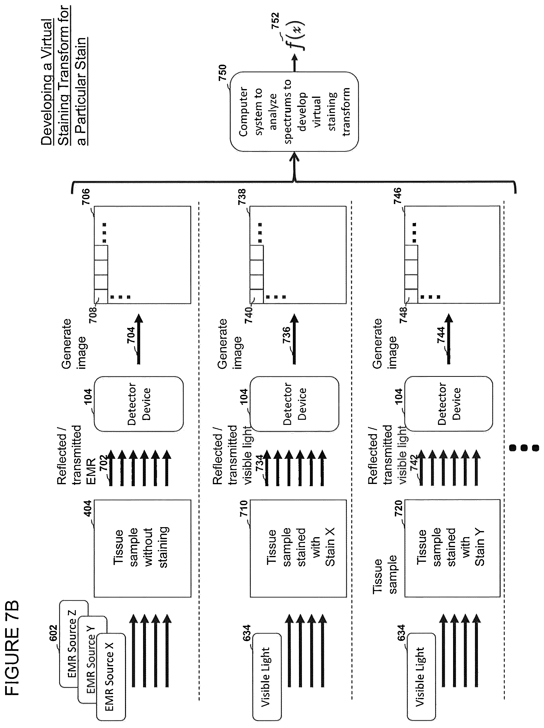 Patent US12303233 Figure 20 – Devices, systems, and methods for virtual staining