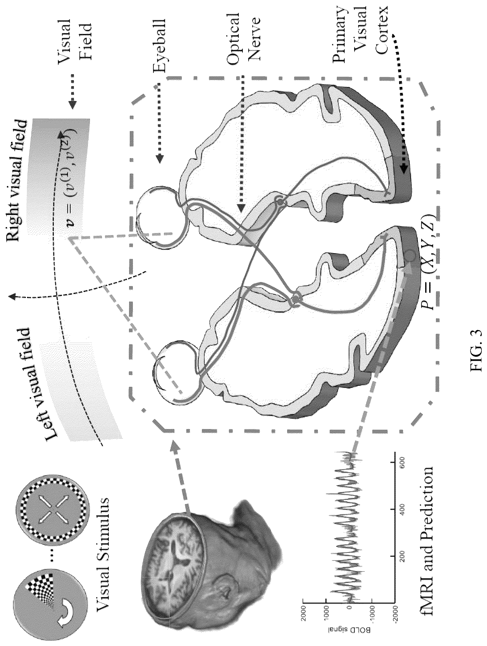 Patent US12303246 Figure 3 – Methods and systems for precise quantification of human sensory cortical areas