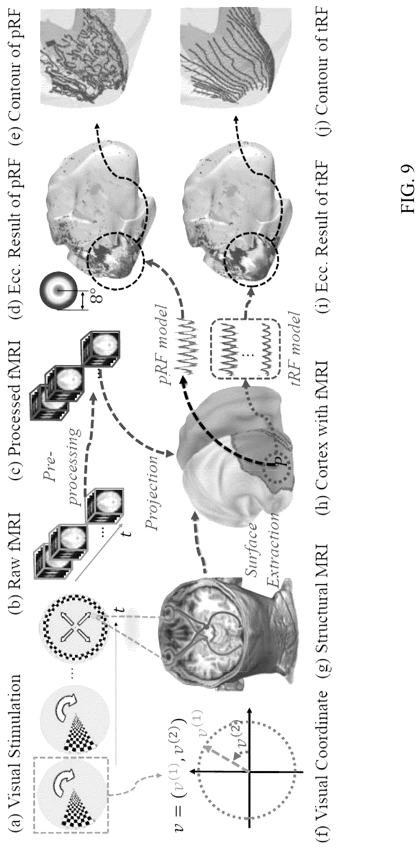 Patent US12303246 Figure 9 – Methods and systems for precise quantification of human sensory cortical areas