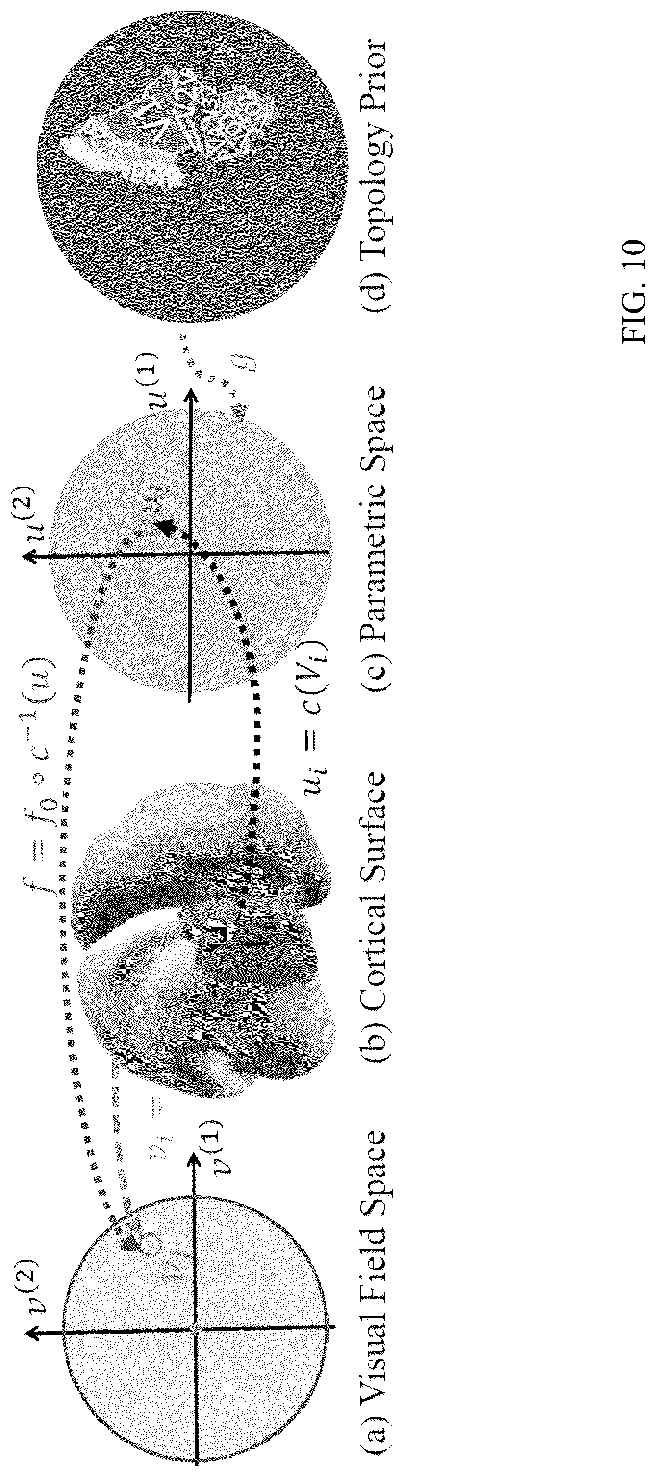 Patent US12303246 Figure 10 – Methods and systems for precise quantification of human sensory cortical areas