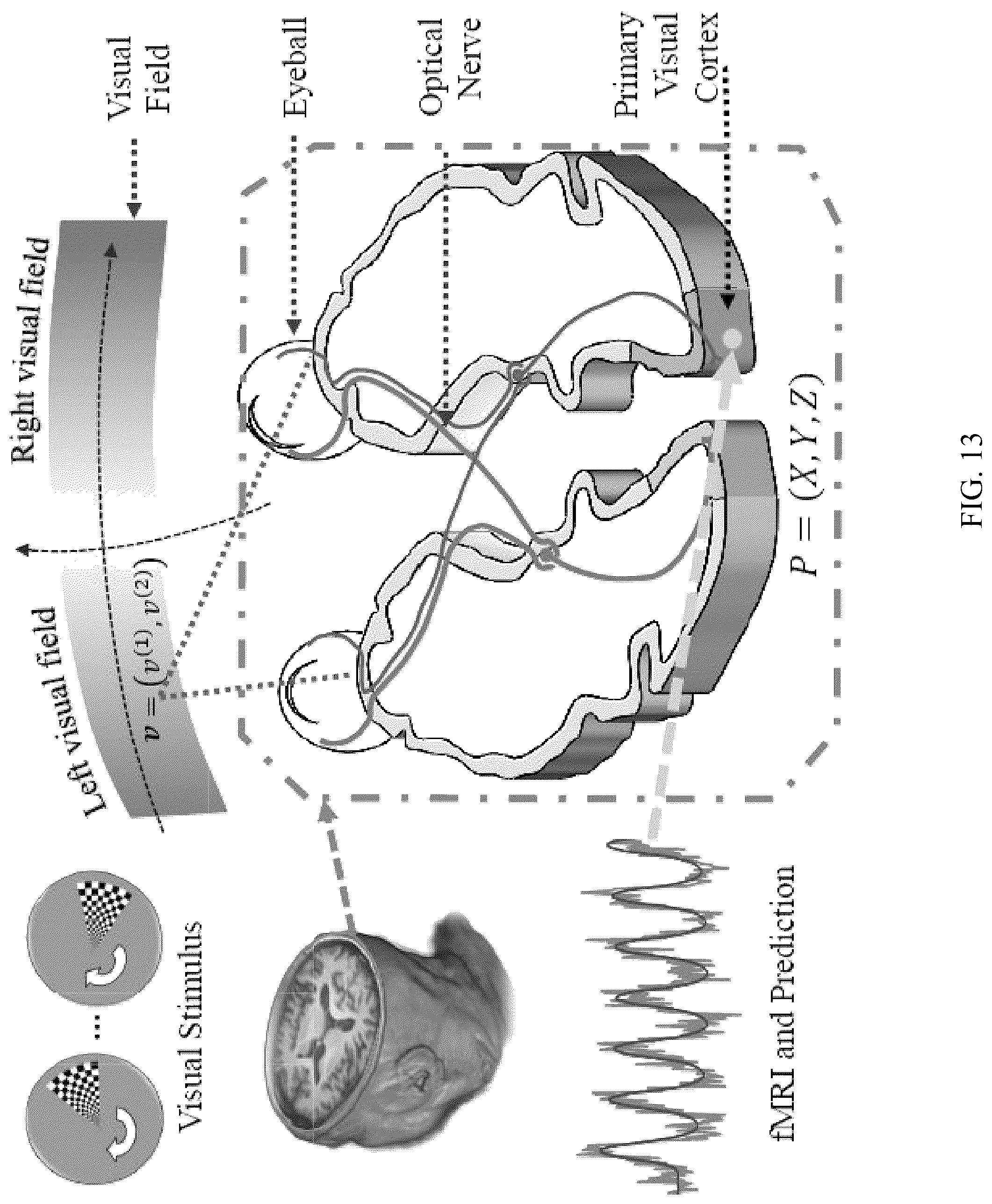 Patent US12303246 Figure 13 – Methods and systems for precise quantification of human sensory cortical areas