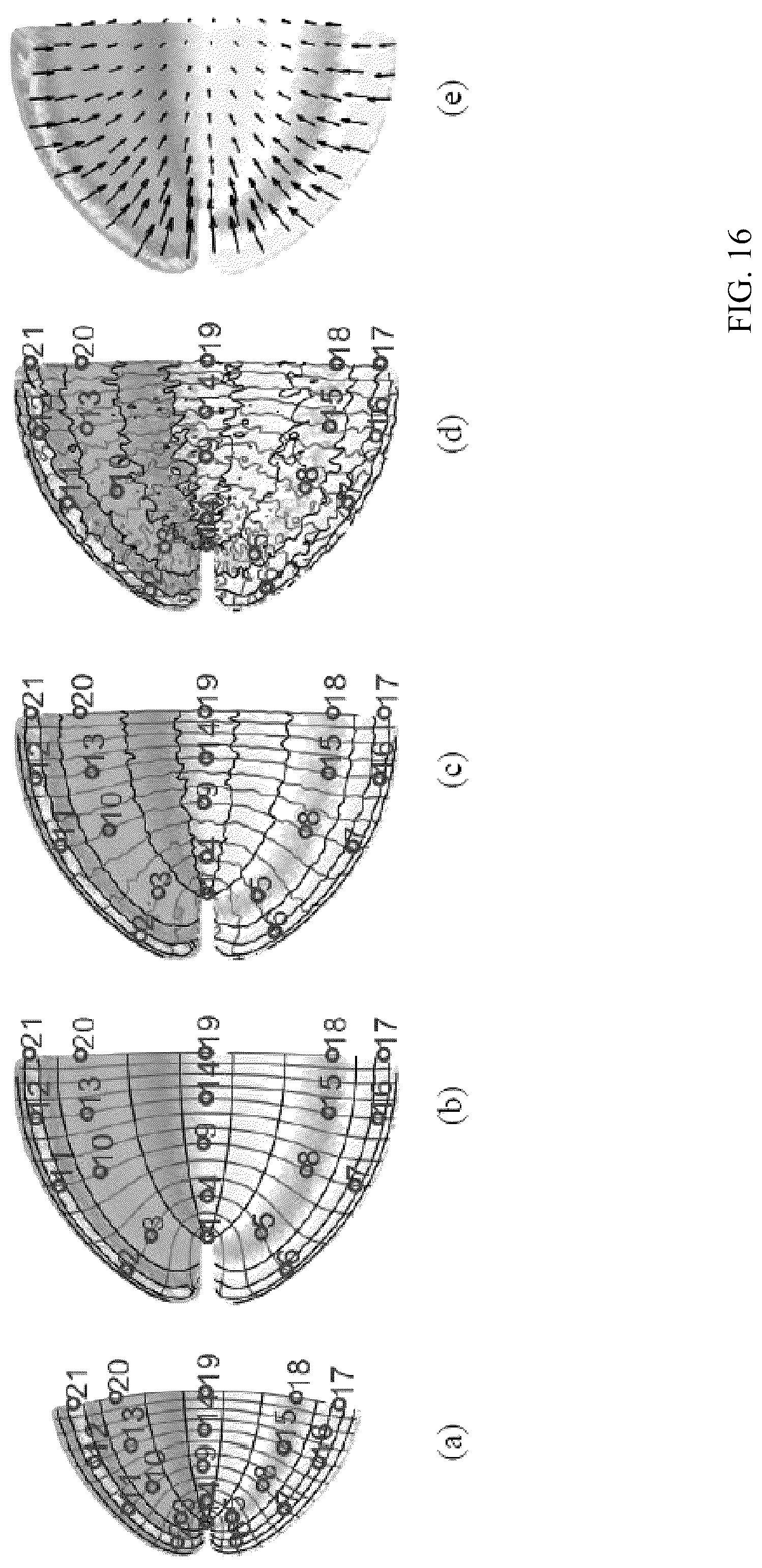 Patent US12303246 Figure 16 – Methods and systems for precise quantification of human sensory cortical areas