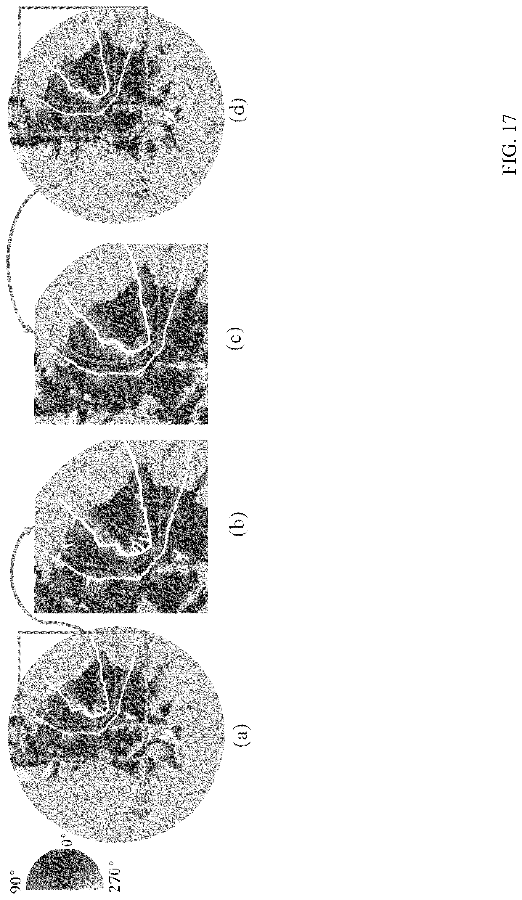 Patent US12303246 Figure 17 – Methods and systems for precise quantification of human sensory cortical areas