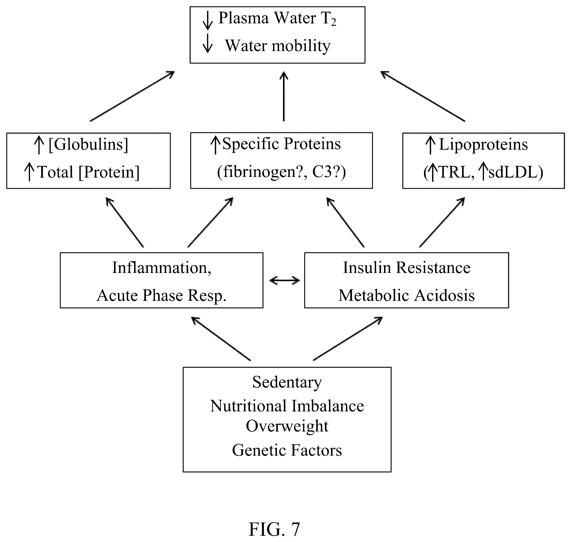 Patent US12303247 Figure 6 – Methods and tools for diagnosing insulin resistance and assessing health status using NMR relaxation times for water