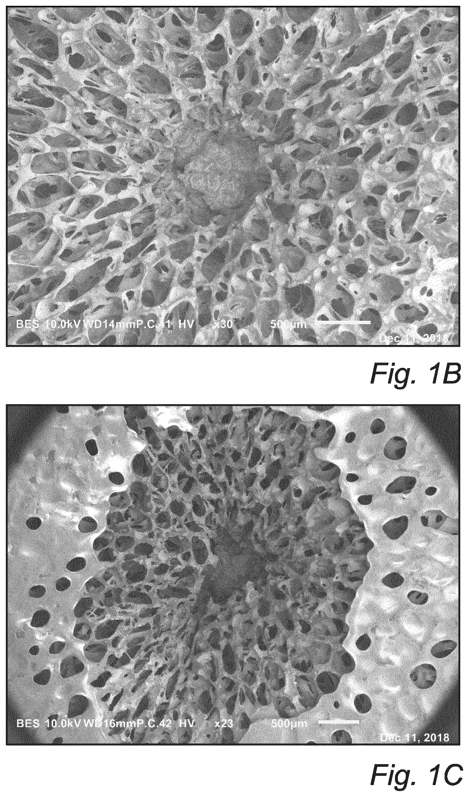 Patent US12303358 Figure 2 – Double coating for wound dressings