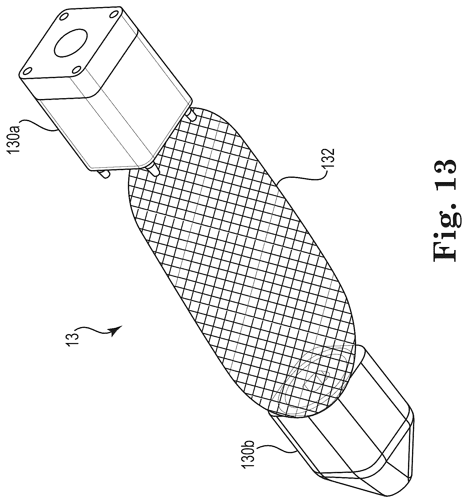 Patent US12303397 Figure 4 – Mesh spacer hybrid