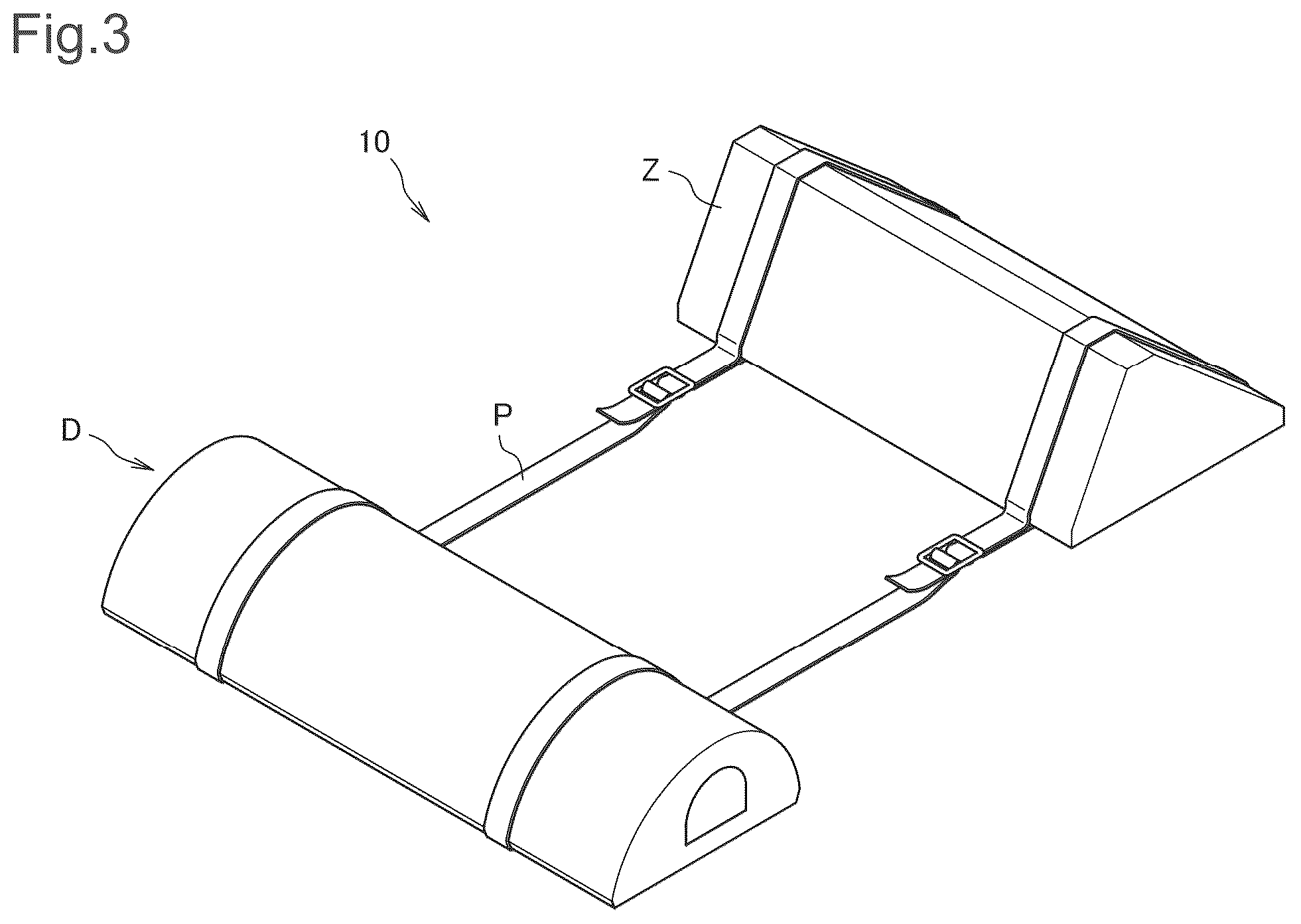 Patent US12303421 Figure 2 – Lumbar pillow and lumbar pillow set