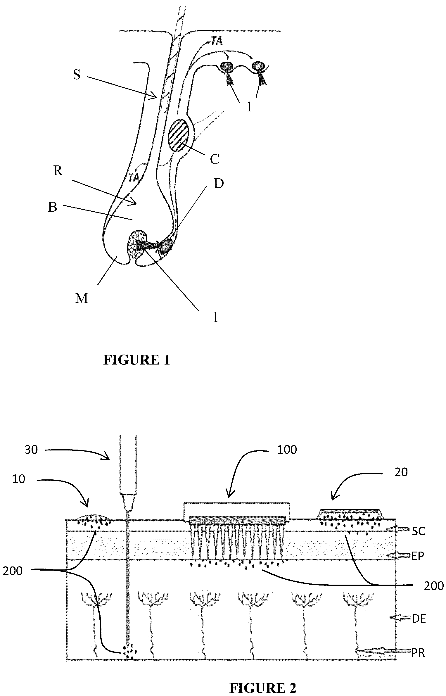 Patent US12303470 — Method and composition for selective treatment of androgen receptors — Figure 1