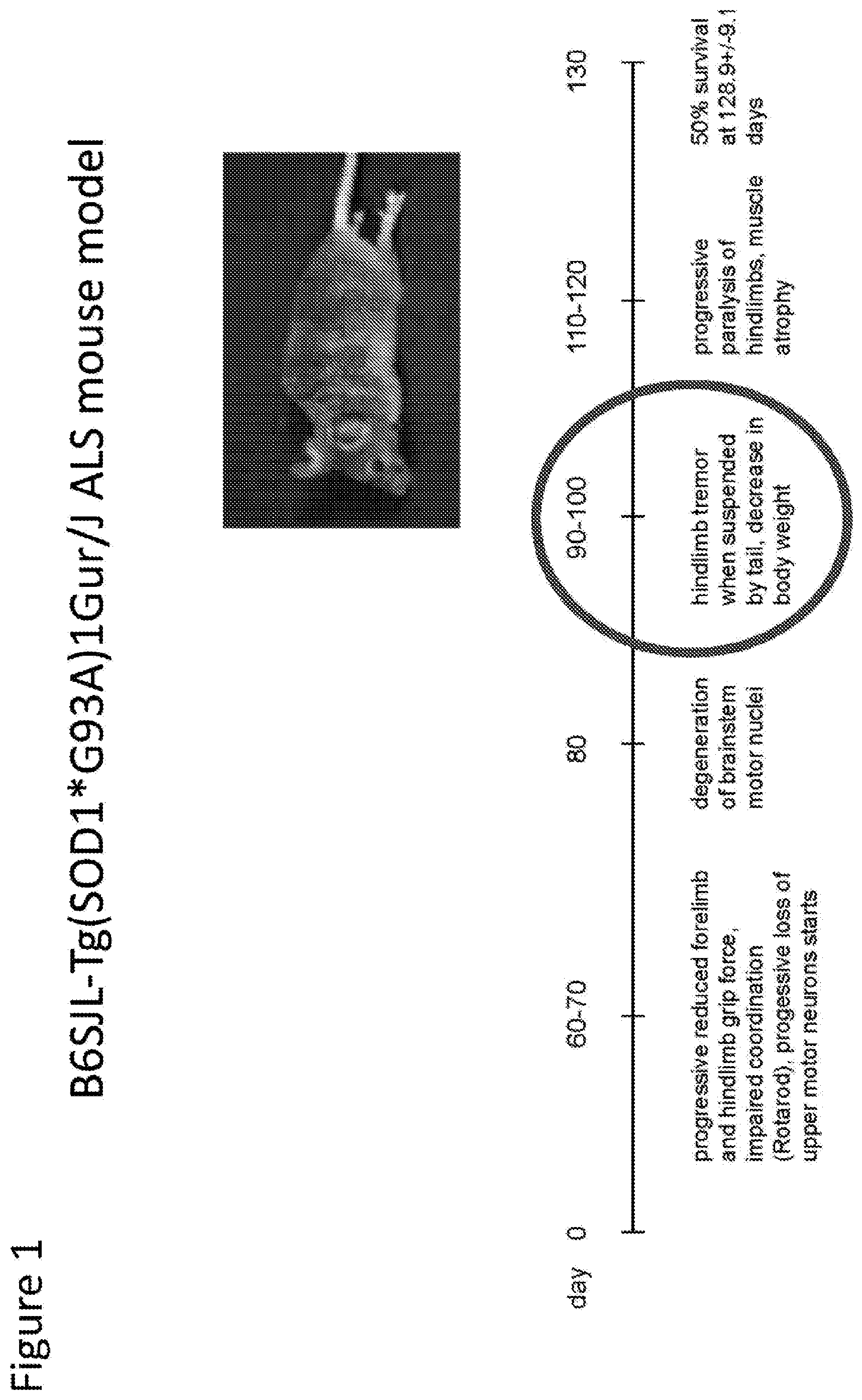 Patent US12303474 Figure 1 – S-enantiomerically enriched compositions of beta blockers for treating amyotrophic lateral sclerosis
