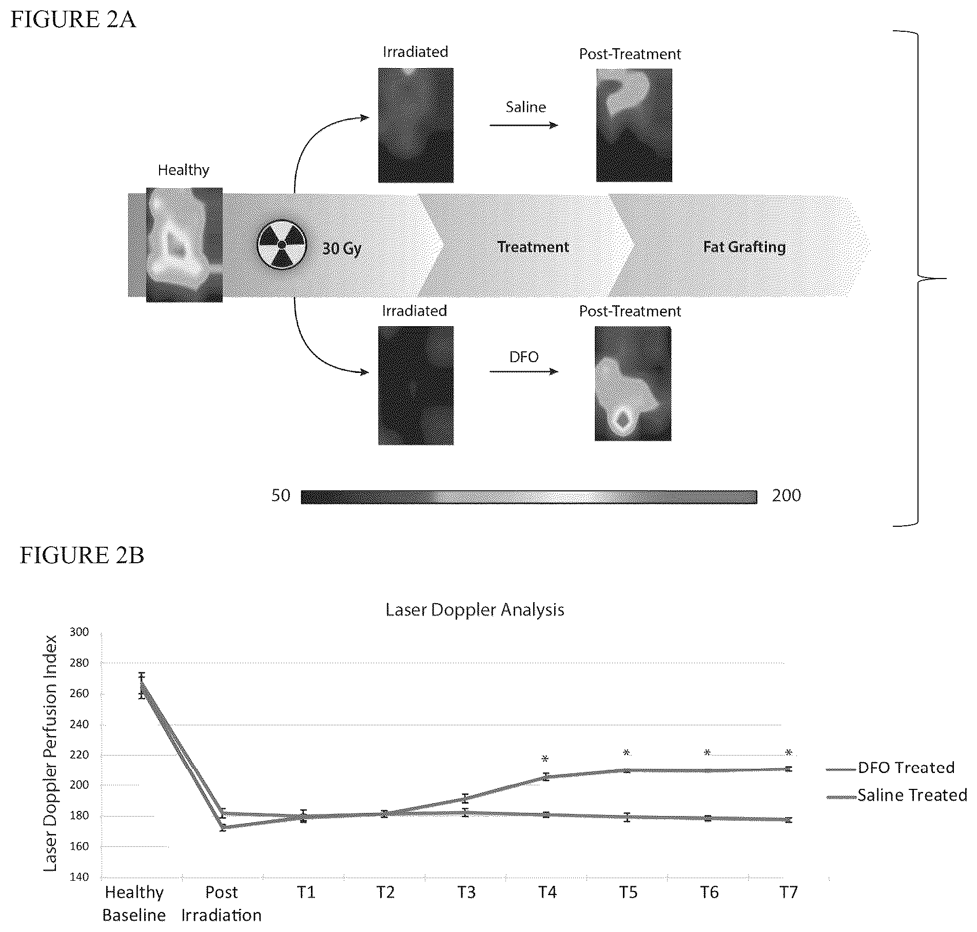 Patent US12303475 Figure 2 – Conditioning irradiated tissue for increasing vascularity