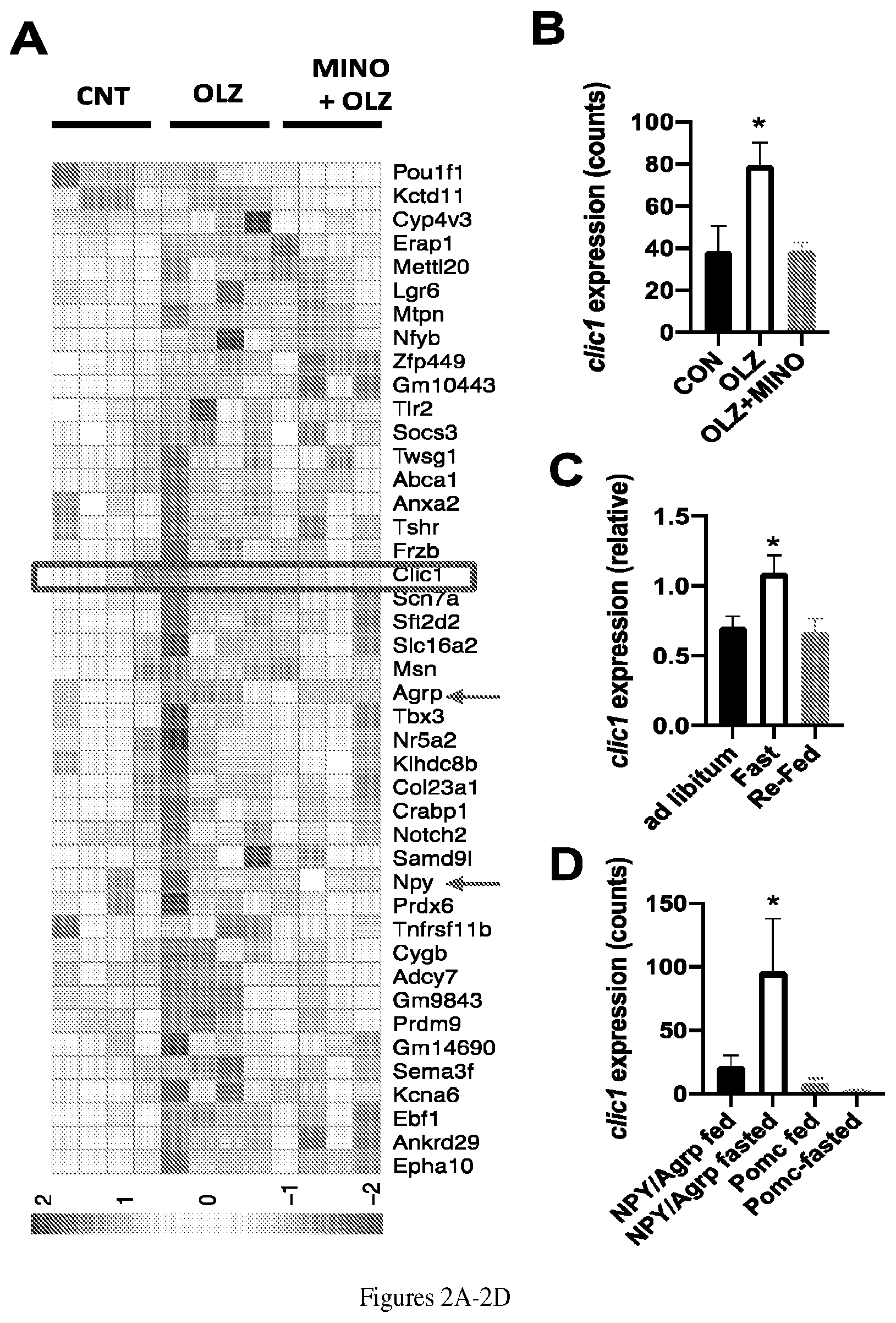Patent US12303479 Figure 2 – Chloride intracellular channel 1 for regulation of food intake