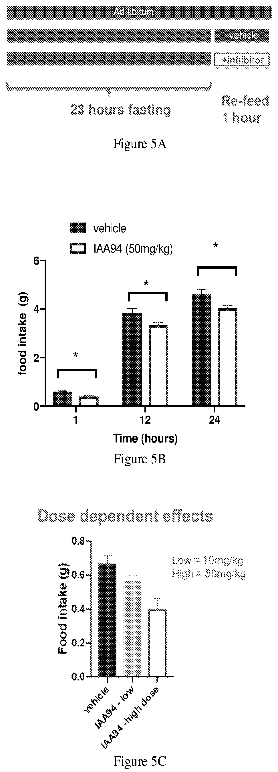 Patent US12303479 Figure 4 – Chloride intracellular channel 1 for regulation of food intake