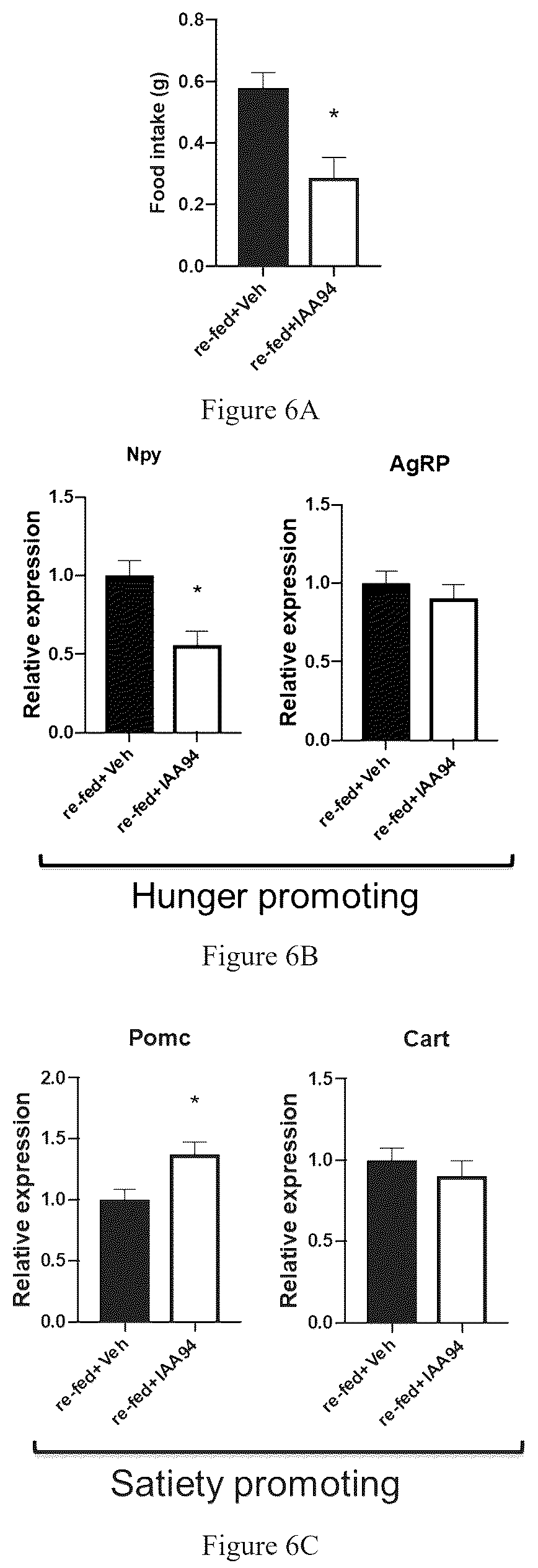 Patent US12303479 Figure 5 – Chloride intracellular channel 1 for regulation of food intake