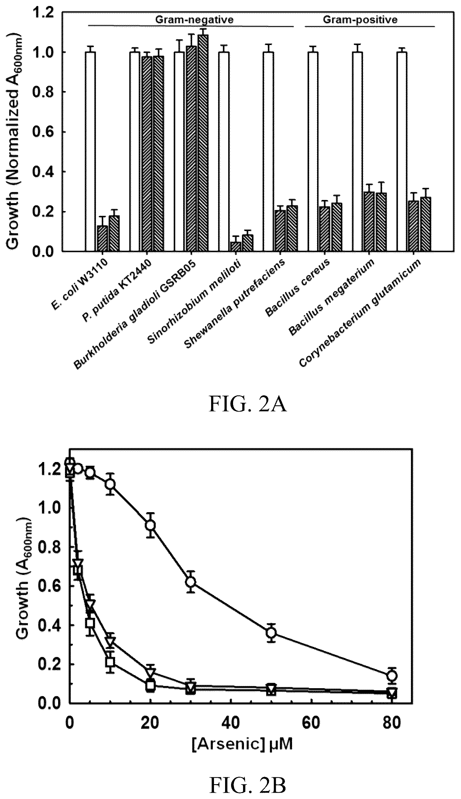 Patent US12303485 Figure 2 – Arsinothricin and methods of treating infections using arsinothricin