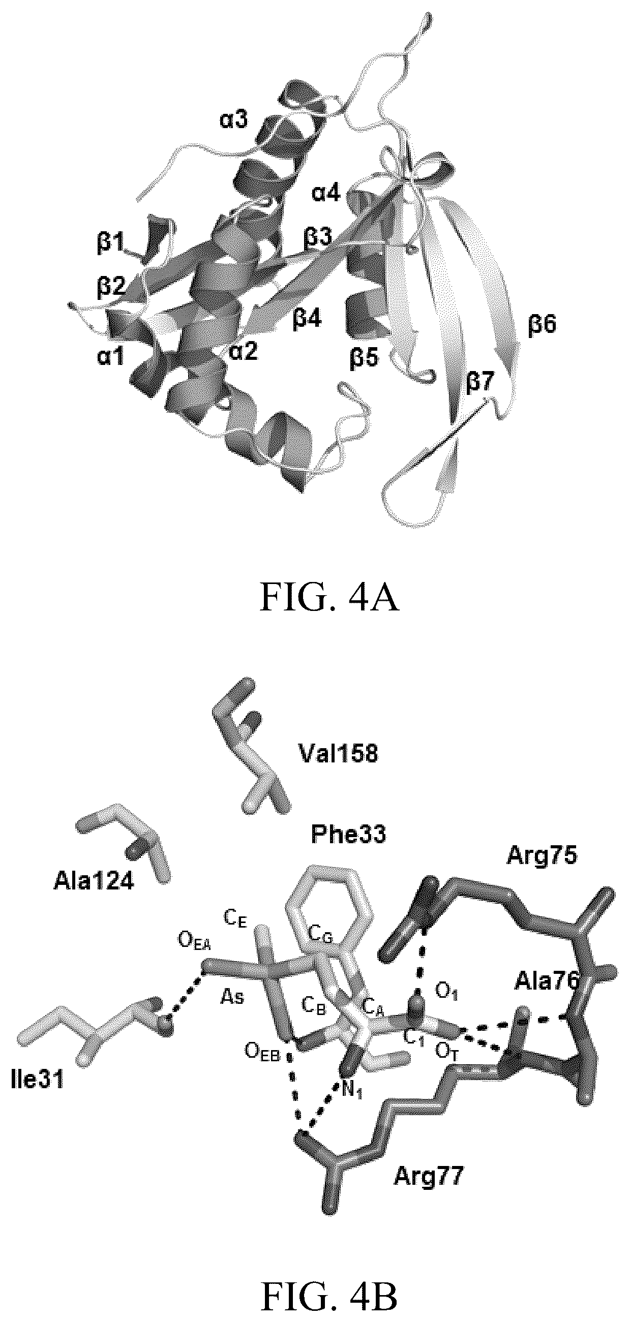 Patent US12303485 Figure 7 – Arsinothricin and methods of treating infections using arsinothricin
