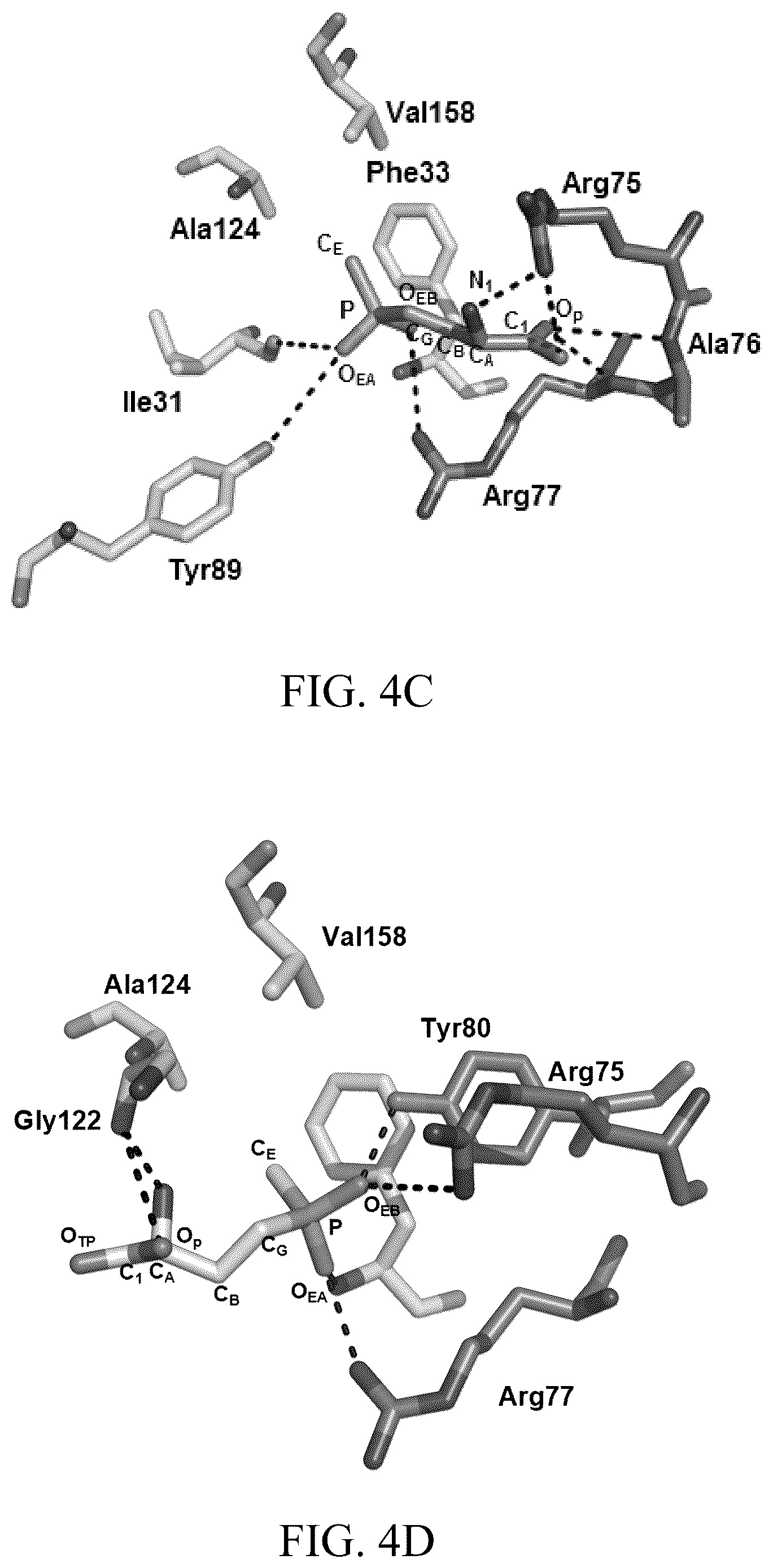 Patent US12303485 Figure 8 – Arsinothricin and methods of treating infections using arsinothricin