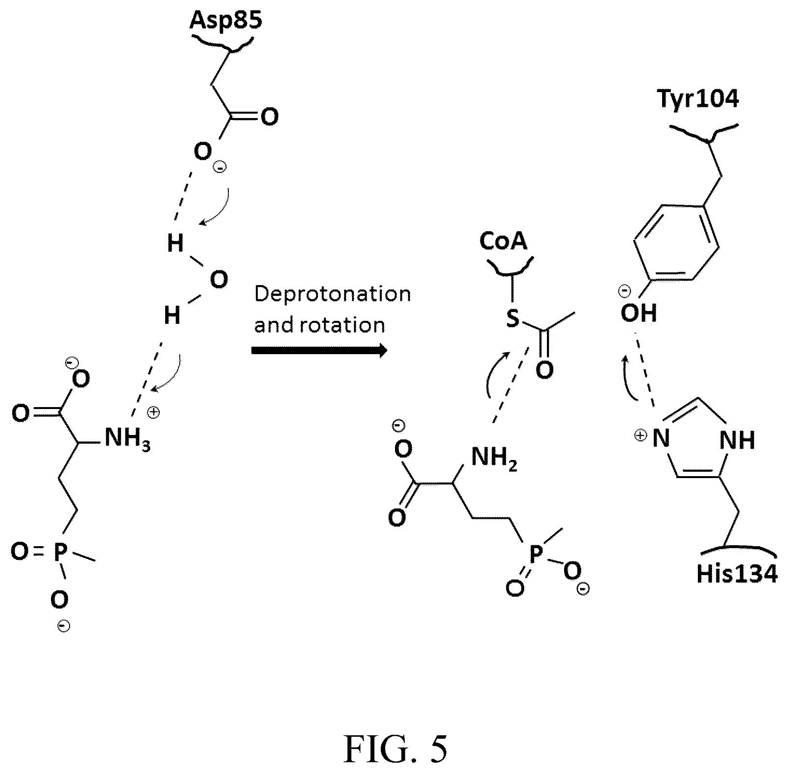 Patent US12303485 Figure 10 – Arsinothricin and methods of treating infections using arsinothricin