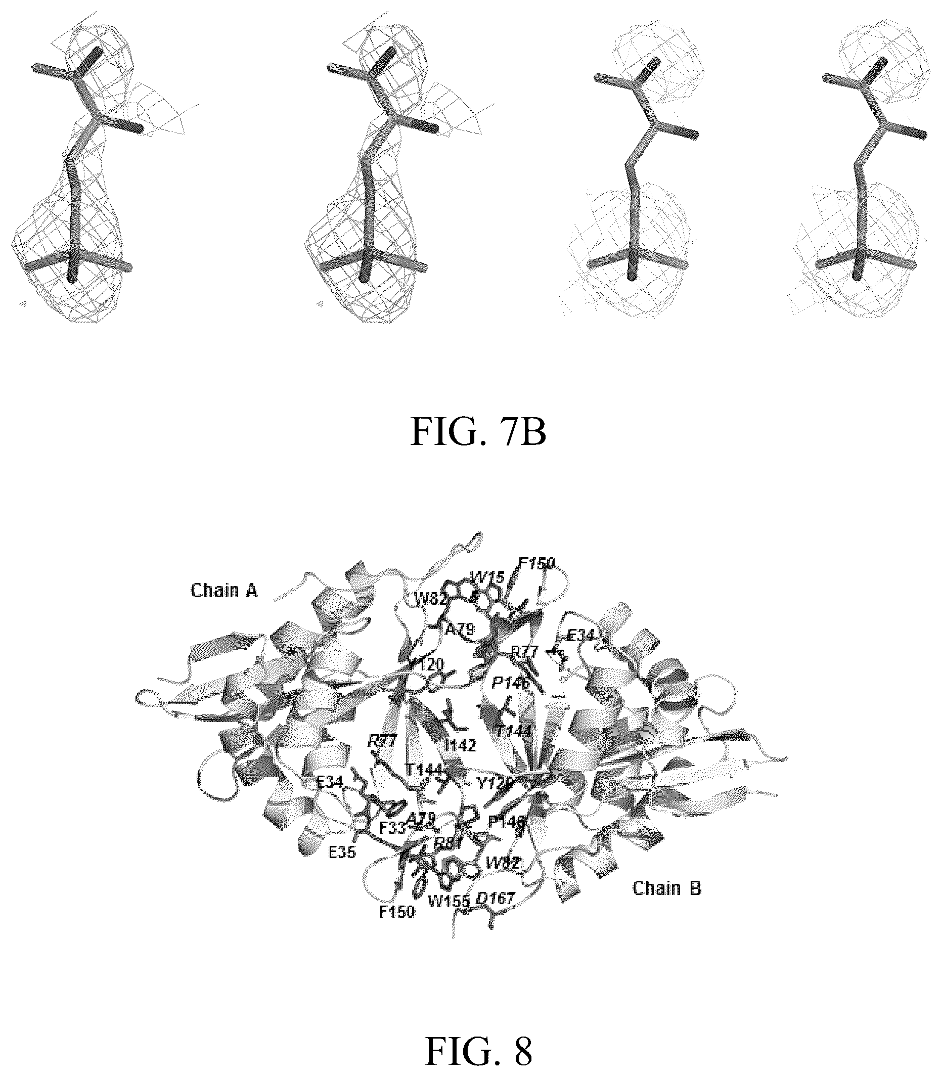 Patent US12303485 Figure 12 – Arsinothricin and methods of treating infections using arsinothricin