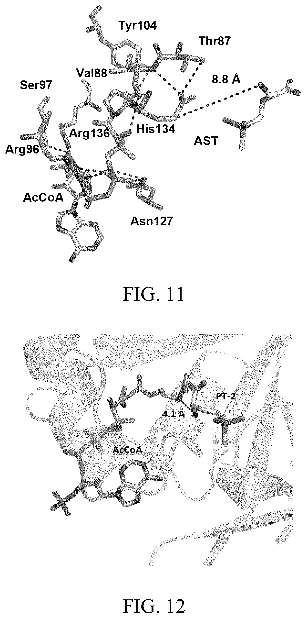 Patent US12303485 Figure 14 – Arsinothricin and methods of treating infections using arsinothricin