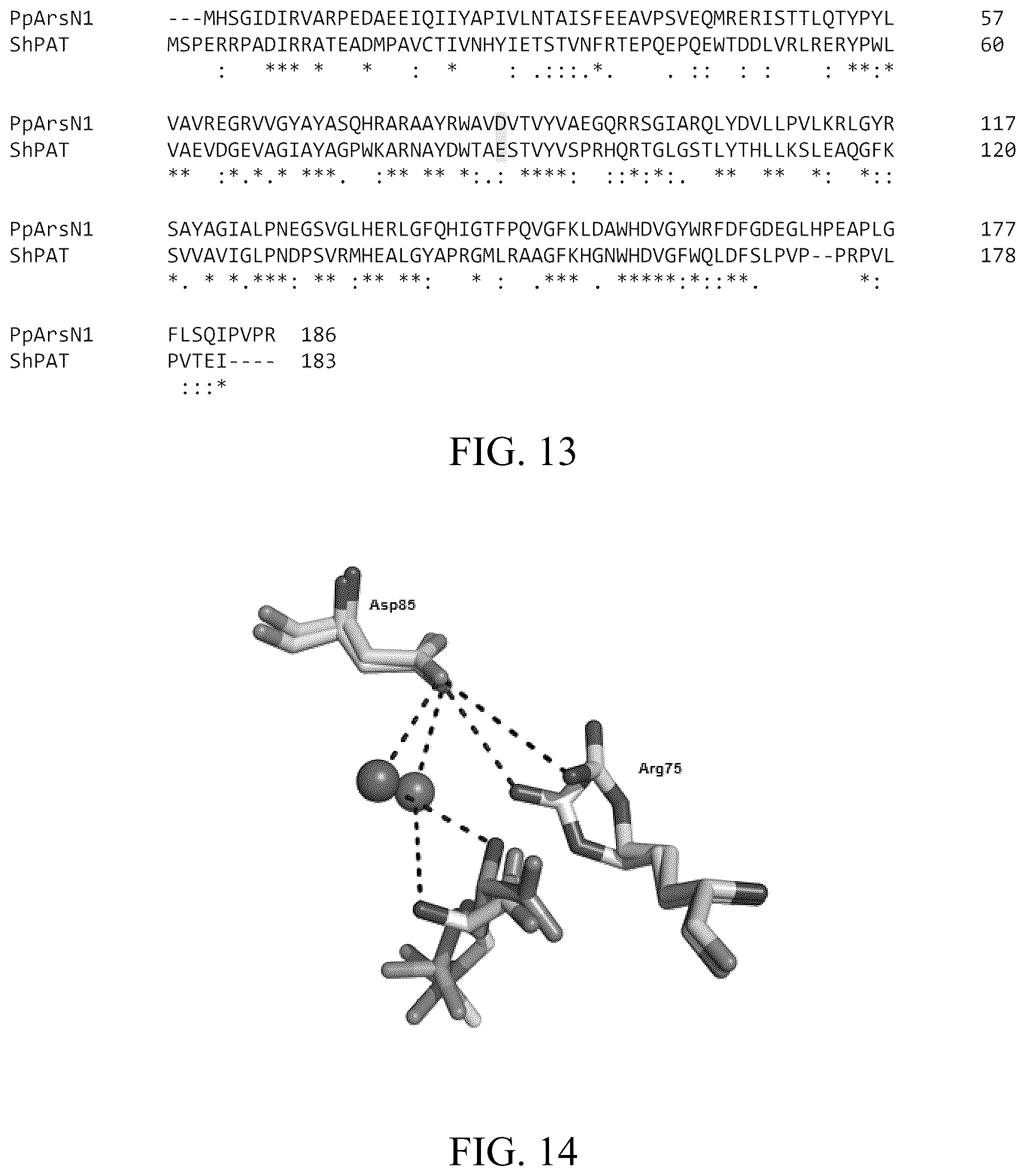 Patent US12303485 Figure 15 – Arsinothricin and methods of treating infections using arsinothricin
