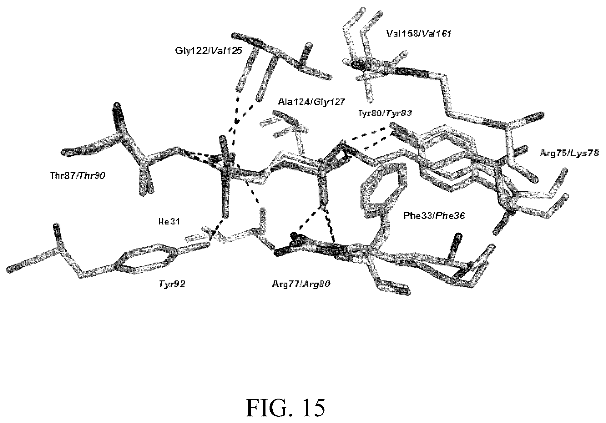Patent US12303485 Figure 16 – Arsinothricin and methods of treating infections using arsinothricin