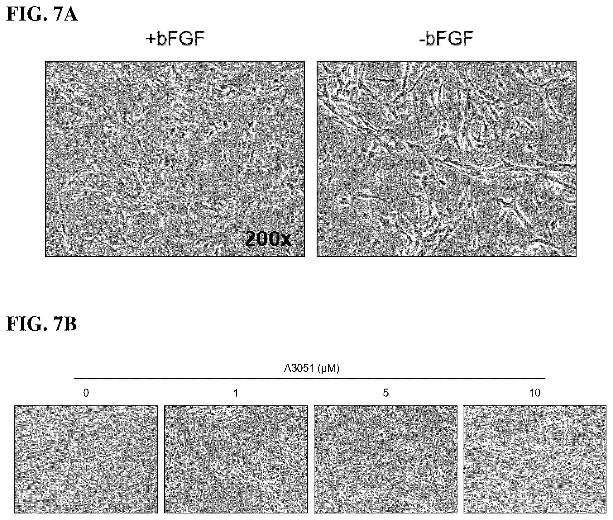 Patent US12303490 Figure 7 – Compositions and methods for suppressing and/or treating neurodegenerative diseases and/or a clinical condition thereof