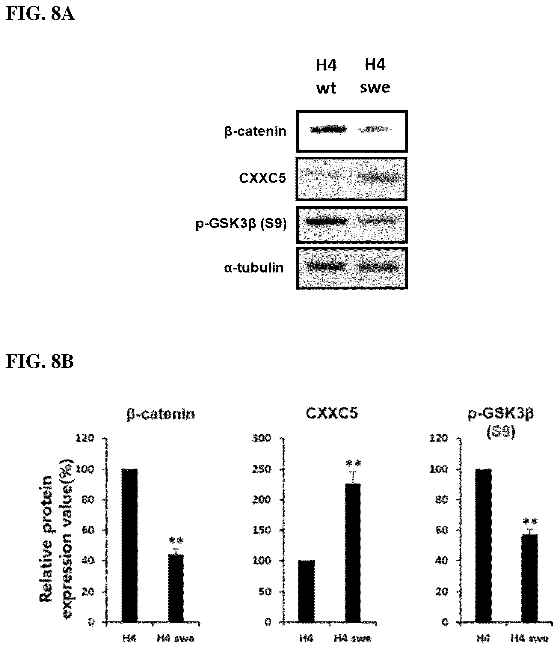 Patent US12303490 Figure 8 – Compositions and methods for suppressing and/or treating neurodegenerative diseases and/or a clinical condition thereof