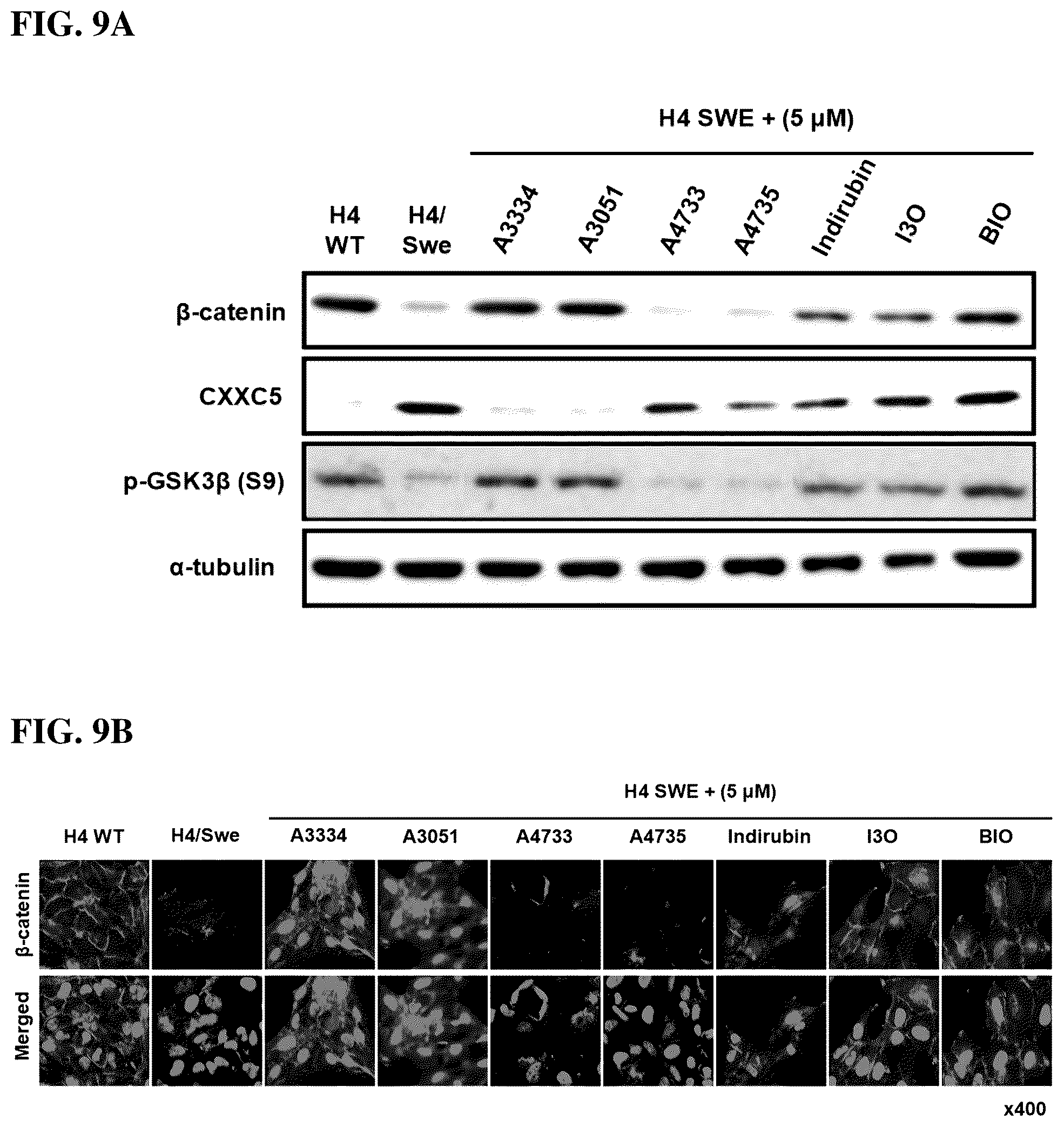 Patent US12303490 Figure 9 – Compositions and methods for suppressing and/or treating neurodegenerative diseases and/or a clinical condition thereof